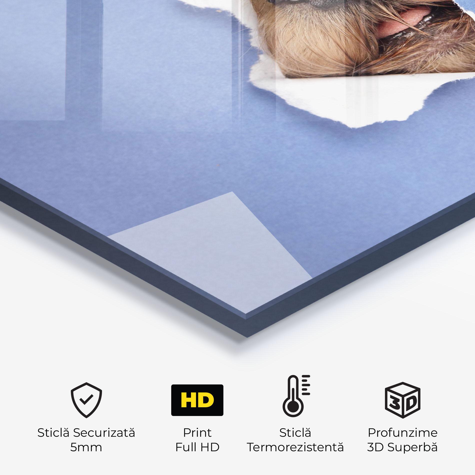 Panou Sticla Bucatarie Dog Small Nose mockup 2