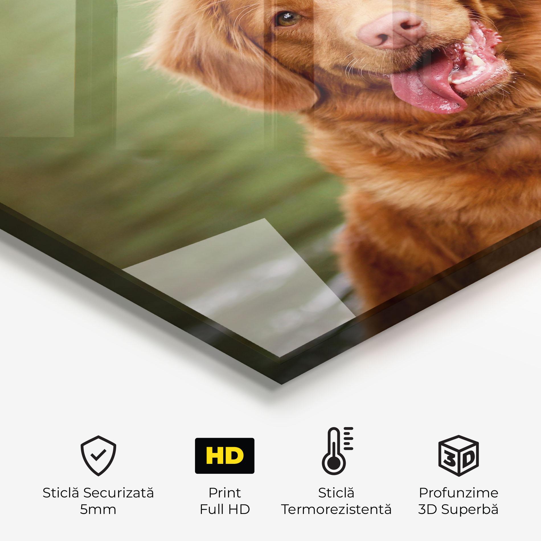 Panou Sticla Bucatarie Gren Water Dog mockup 2