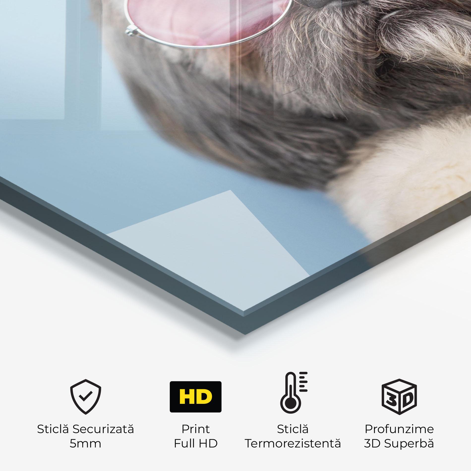 Panou Sticla Bucatarie Grey Dog On Blue mockup 2