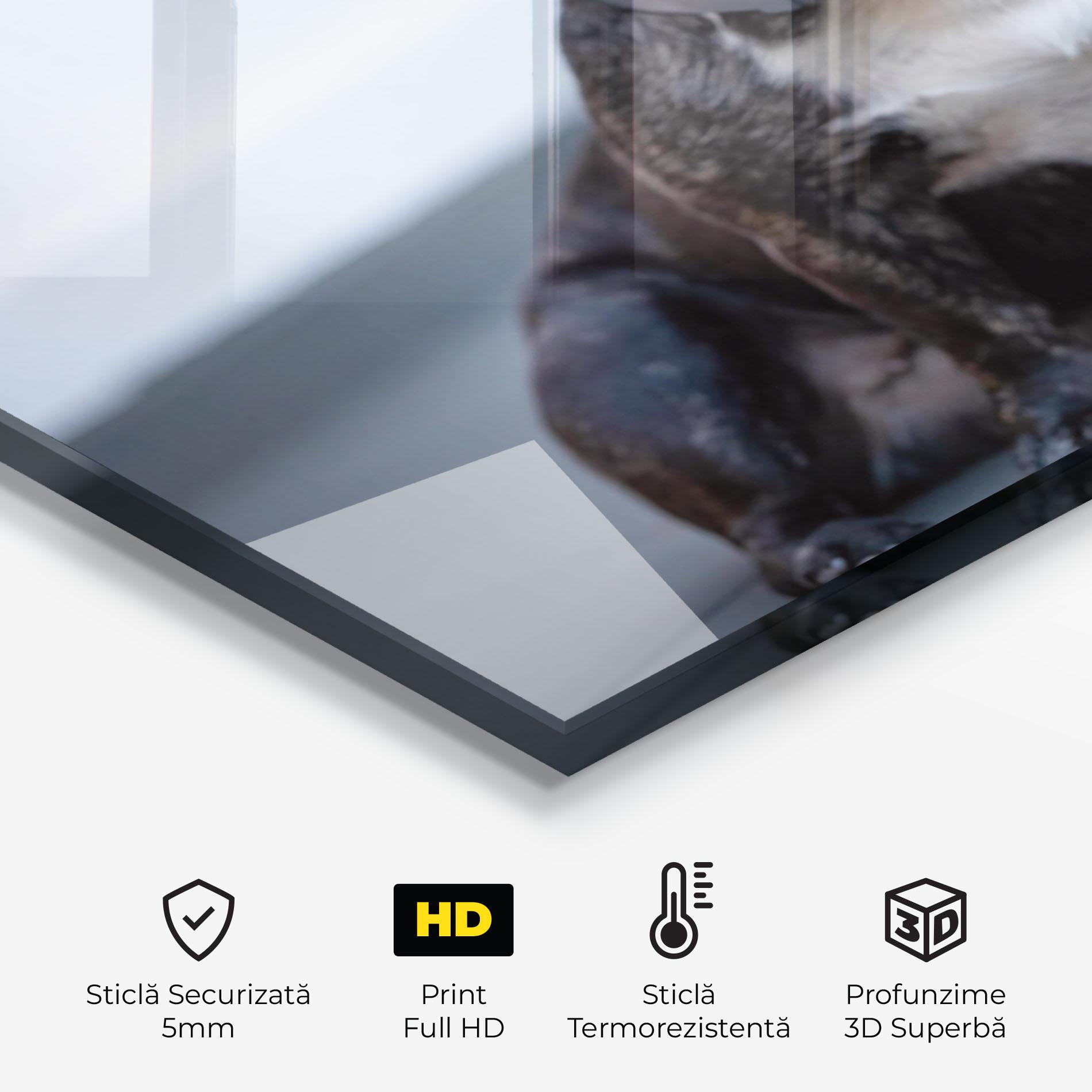 Panou Sticla Bucatarie Happy Black Dog mockup 2