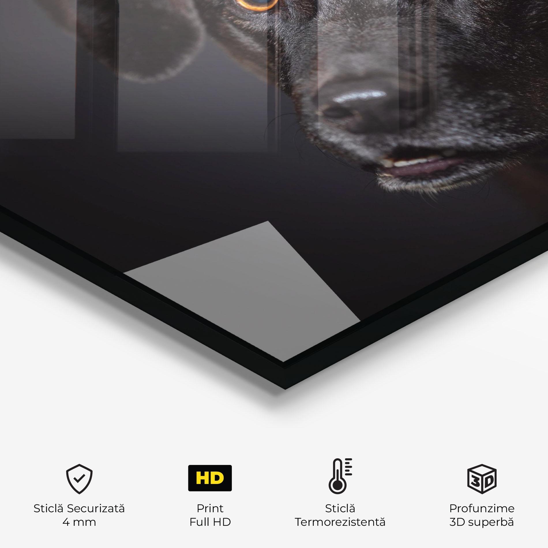 Panou Sticla Bucatarie Black Dog Portrait mockup 2