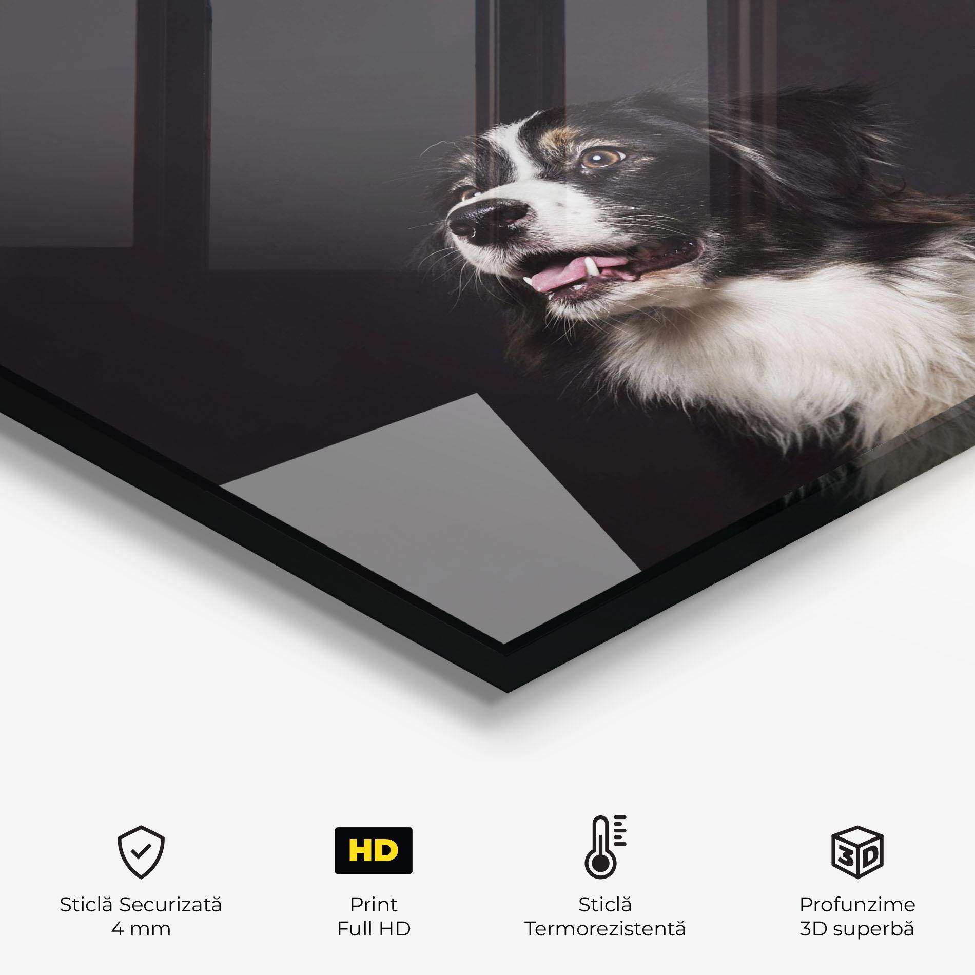 Panou Sticla Bucatarie Cute Dogs Standing mockup 2