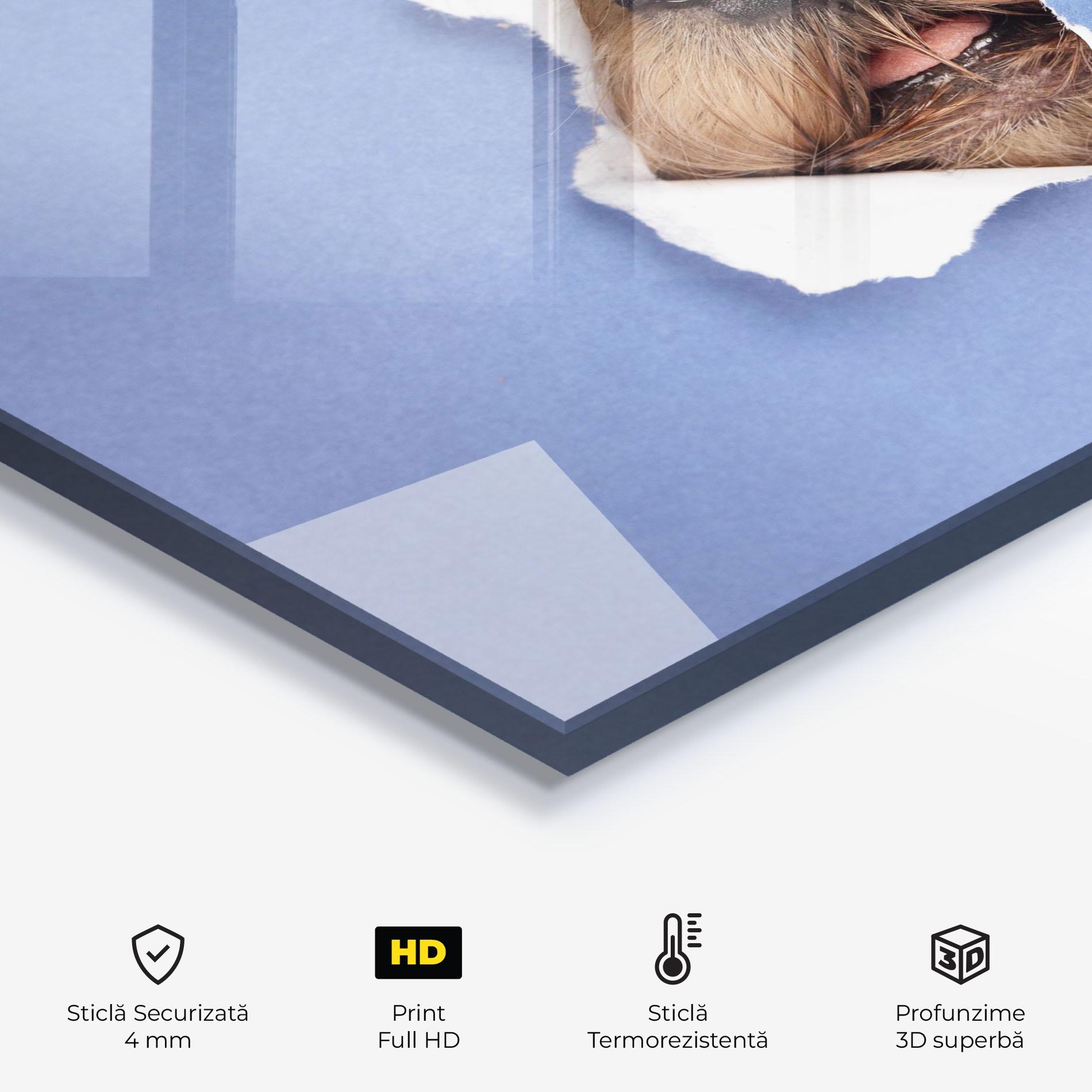 Panou Sticla Bucatarie Dog Small Nose mockup 2