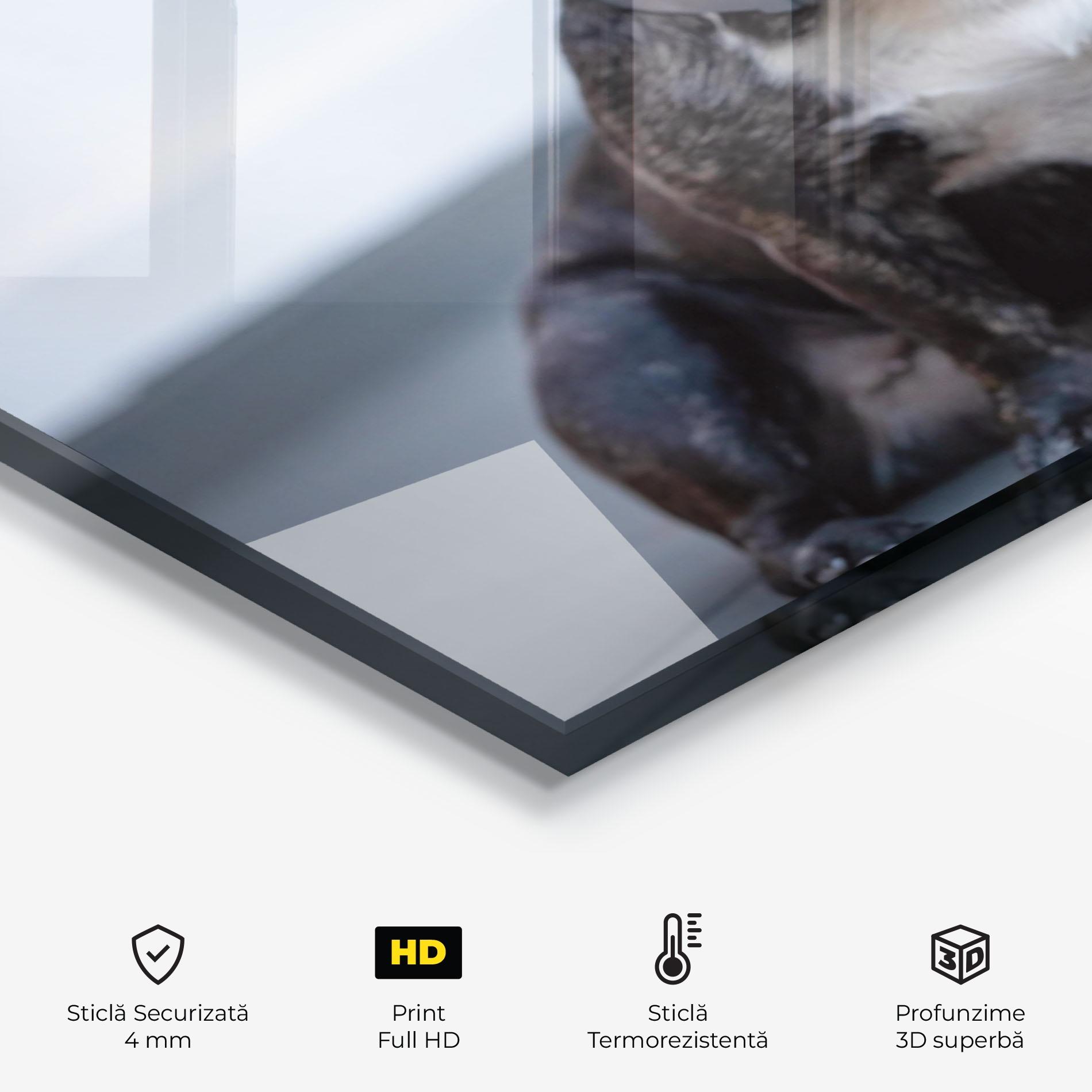 Panou Sticla Bucatarie Happy Black Dog mockup 2