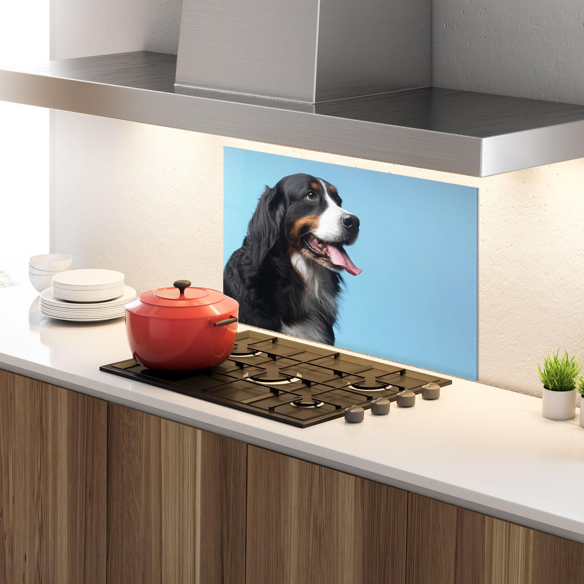 Panou Sticla Bucatarie Dog On Blue mockup 4