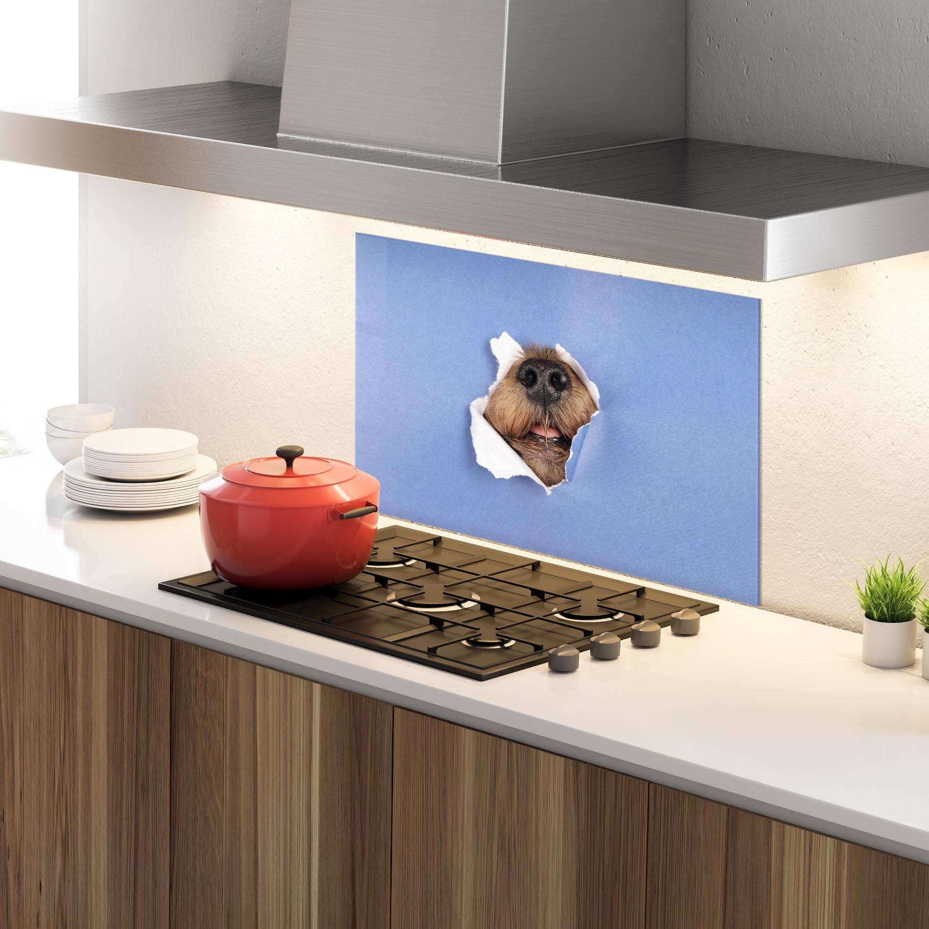 Panou Sticla Bucatarie Dog Small Nose mockup 4