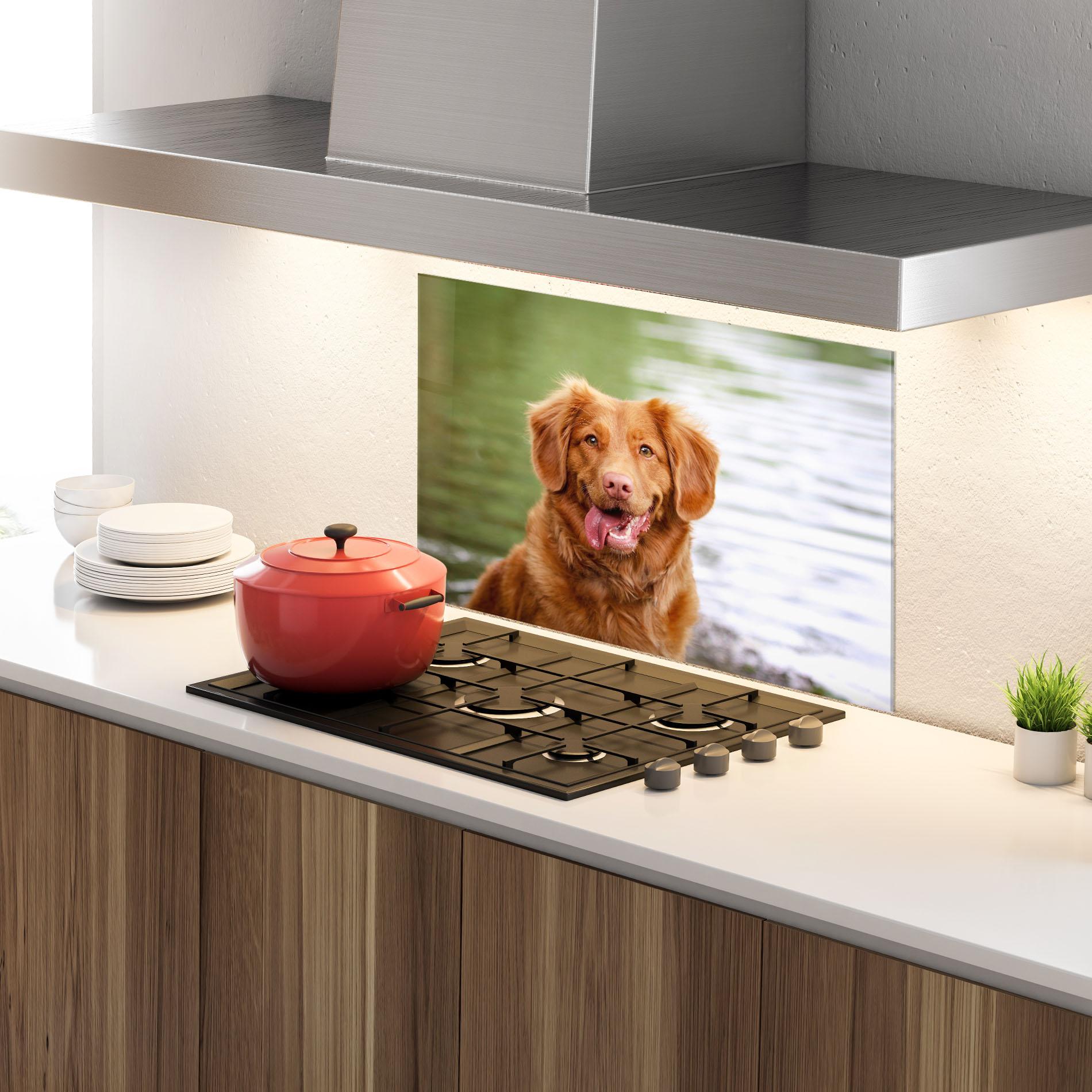 Panou Sticla Bucatarie Gren Water Dog mockup 4