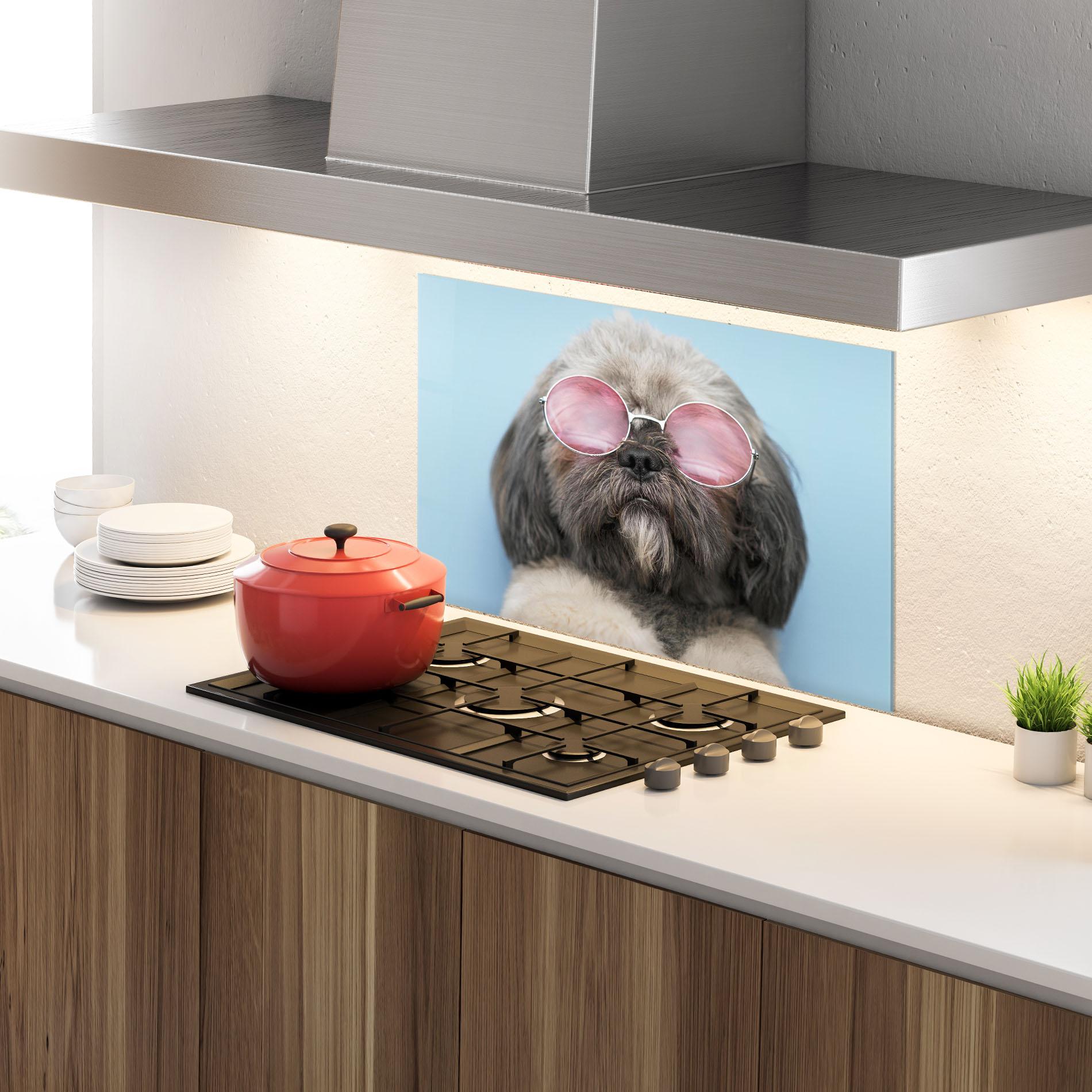 Panou Sticla Bucatarie Grey Dog On Blue mockup 4