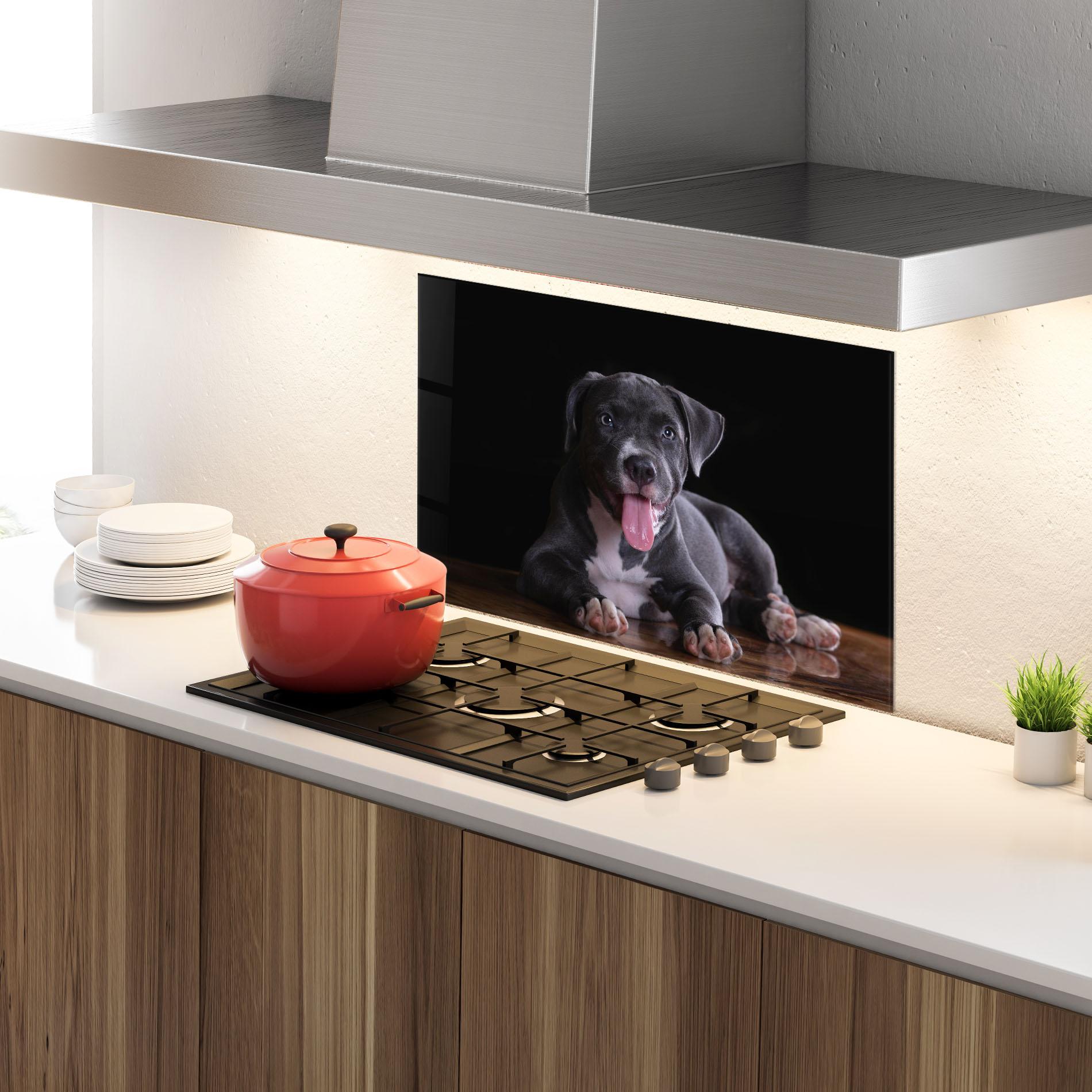 Panou Sticla Bucatarie Terrier Puppy mockup 4