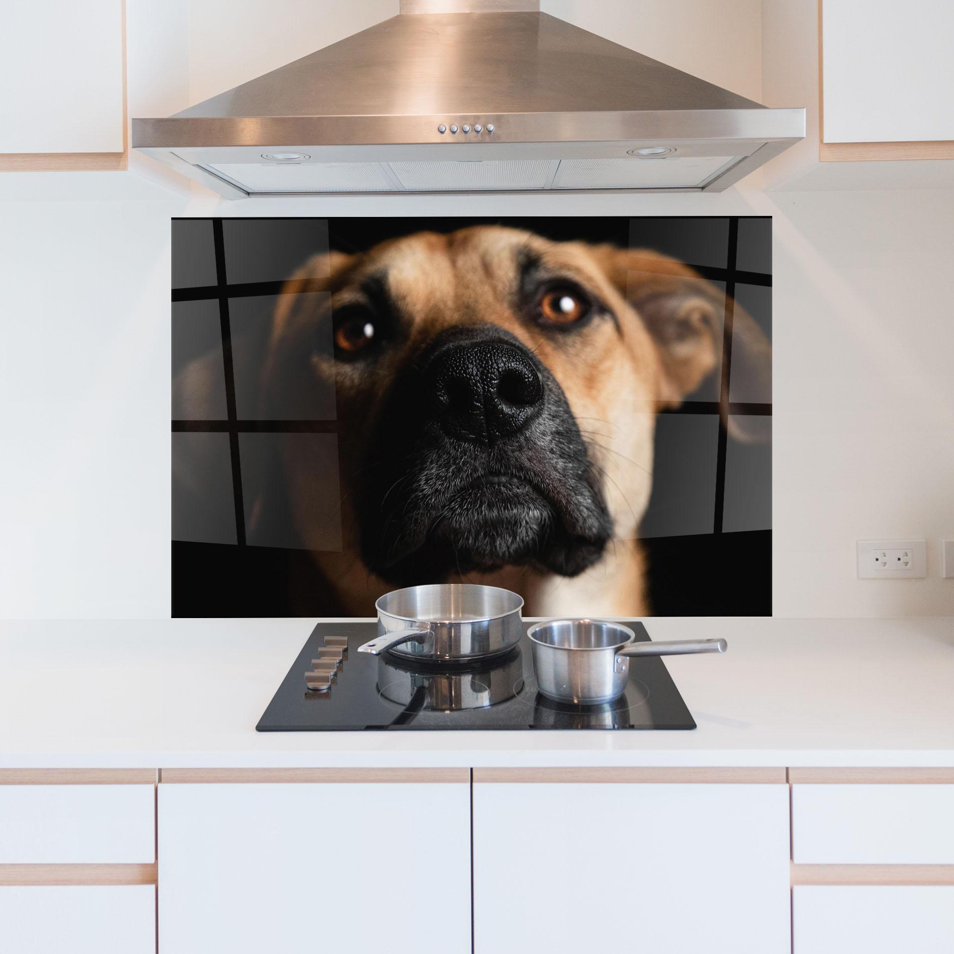 Panou Sticla Bucatarie Black Nose Dog mockup 5
