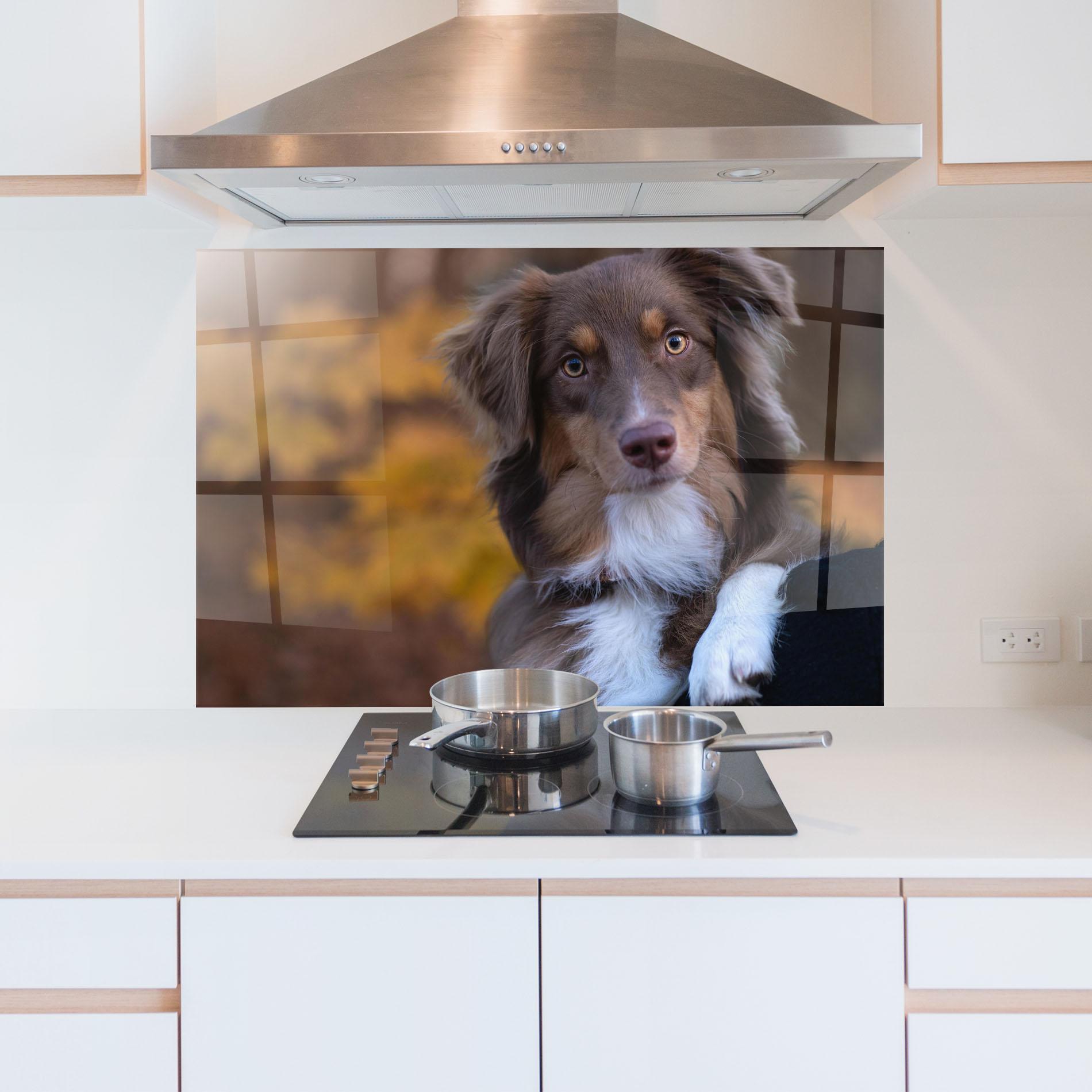 Panou Sticla Bucatarie Coffee Brown Dog mockup 5