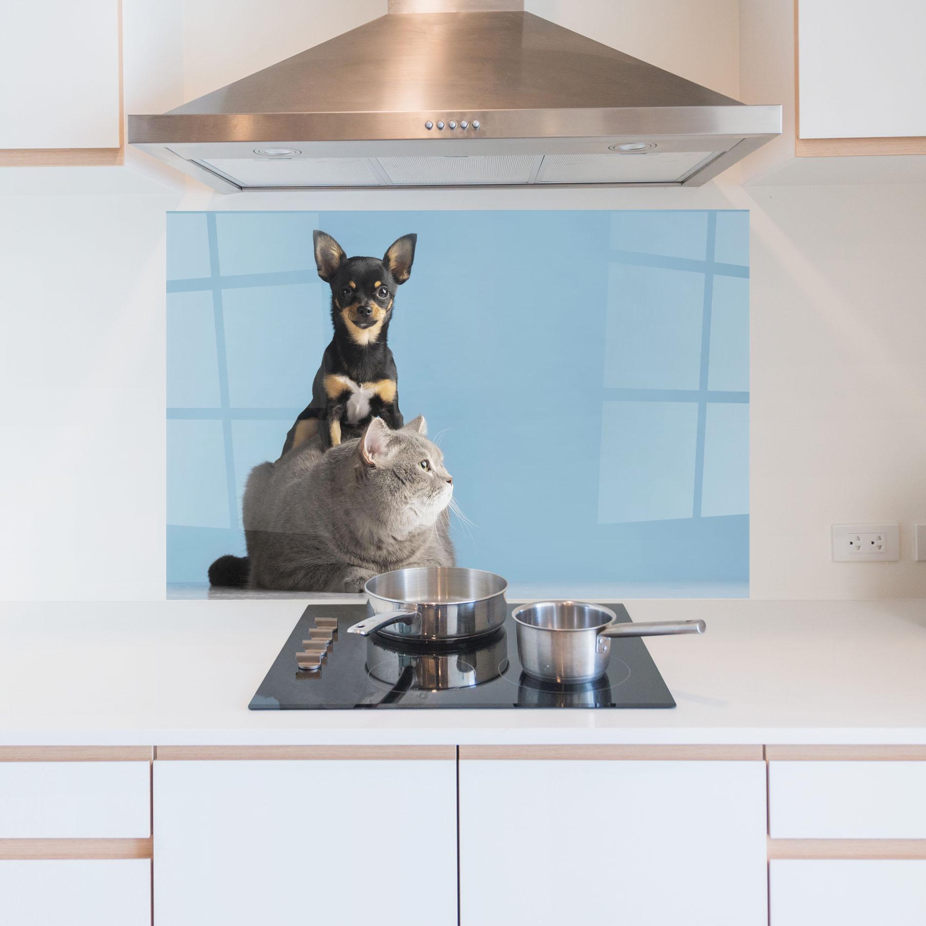 Panou Sticla Bucatarie Dog Grey Cat mockup 5