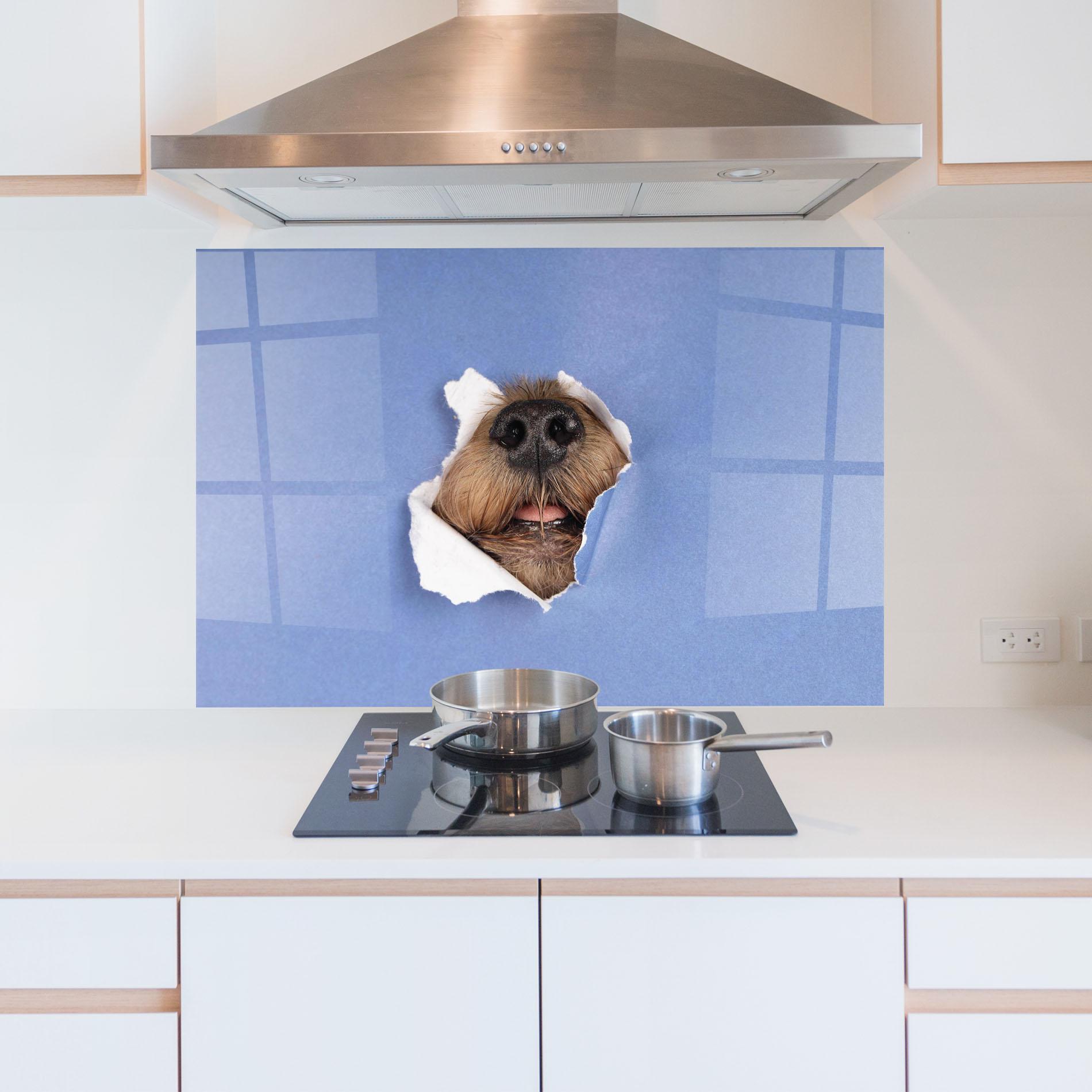 Panou Sticla Bucatarie Dog Small Nose mockup 5