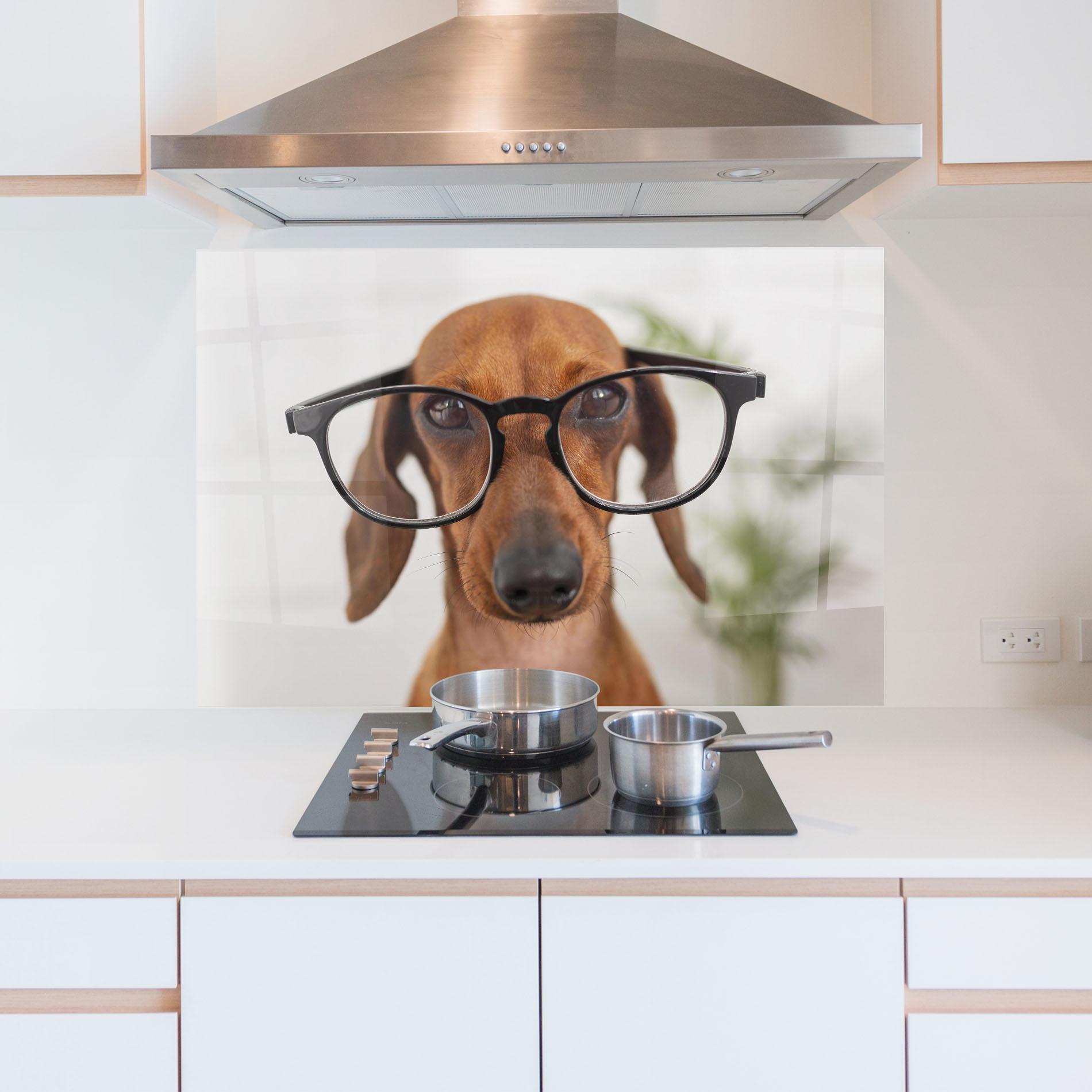 Panou Sticla Bucatarie Dog Wearing Glasses mockup 5
