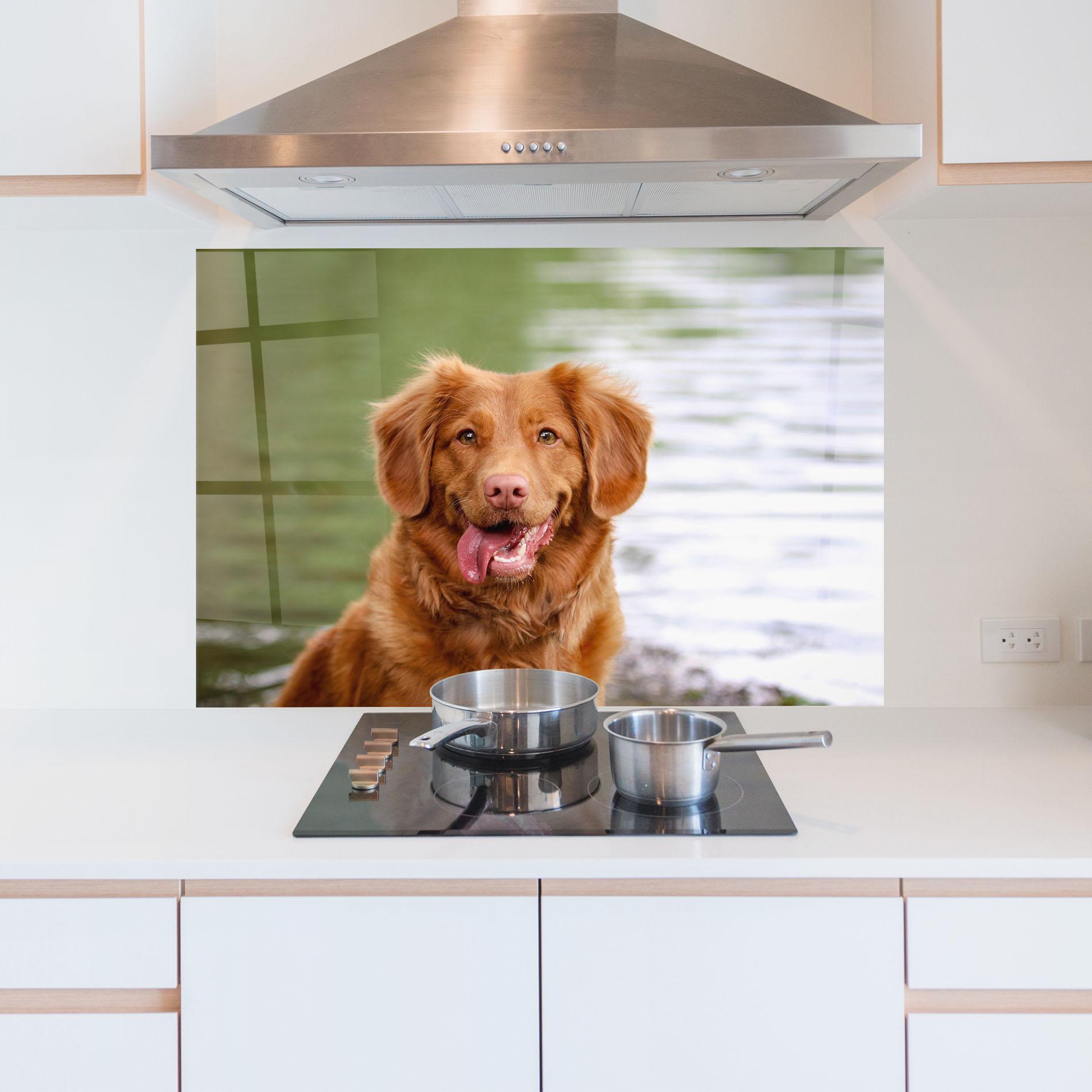 Panou Sticla Bucatarie Gren Water Dog mockup 5