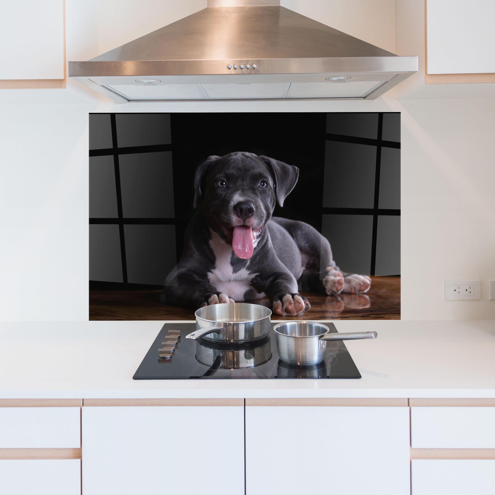 Panou Sticla Bucatarie Terrier Puppy mockup 5