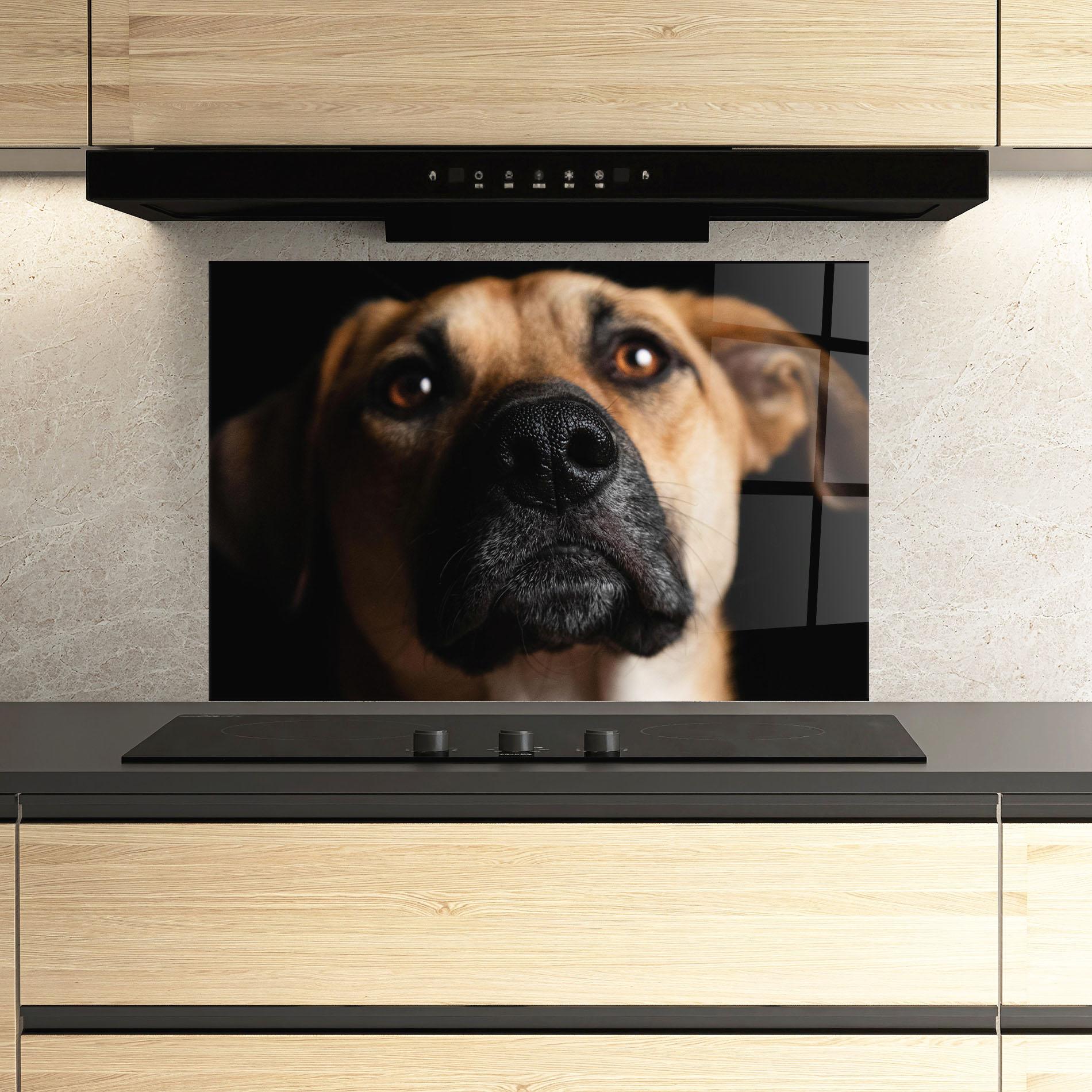 Panou Sticla Bucatarie Black Nose Dog mockup 3