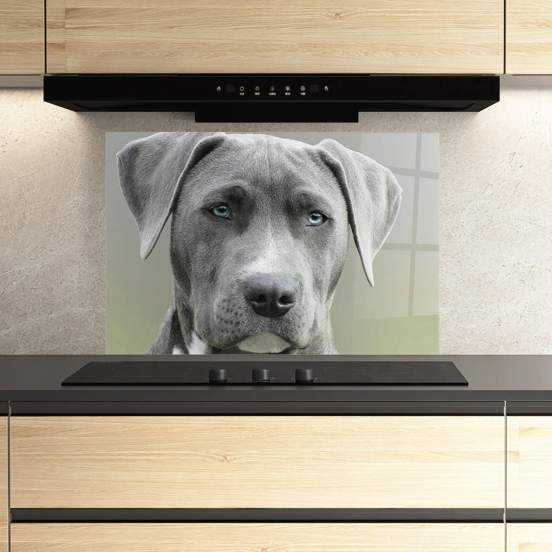 Panou Sticla Bucatarie Blue Eyes Dog mockup 3