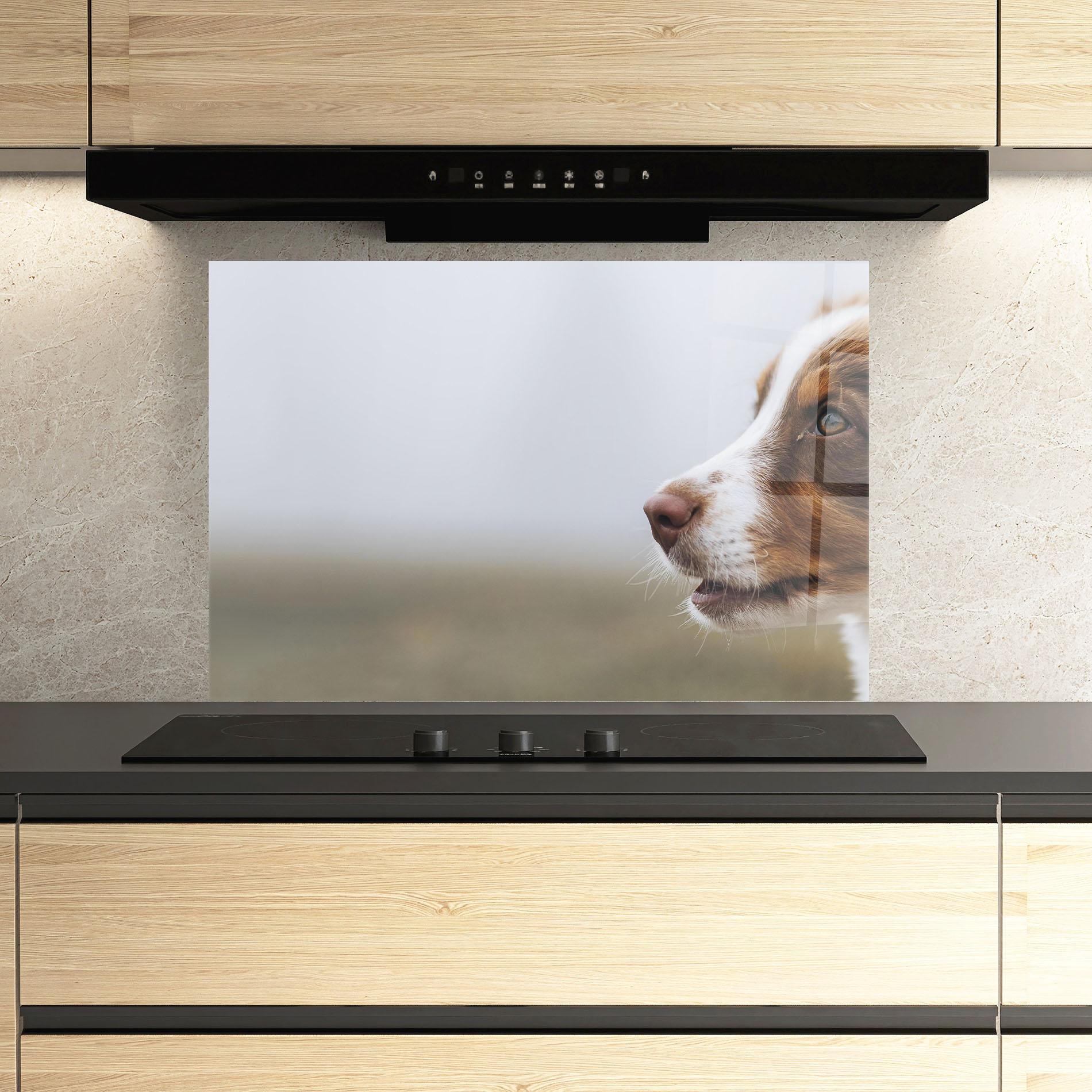 Panou Sticla Bucatarie Brown White Dog mockup 3