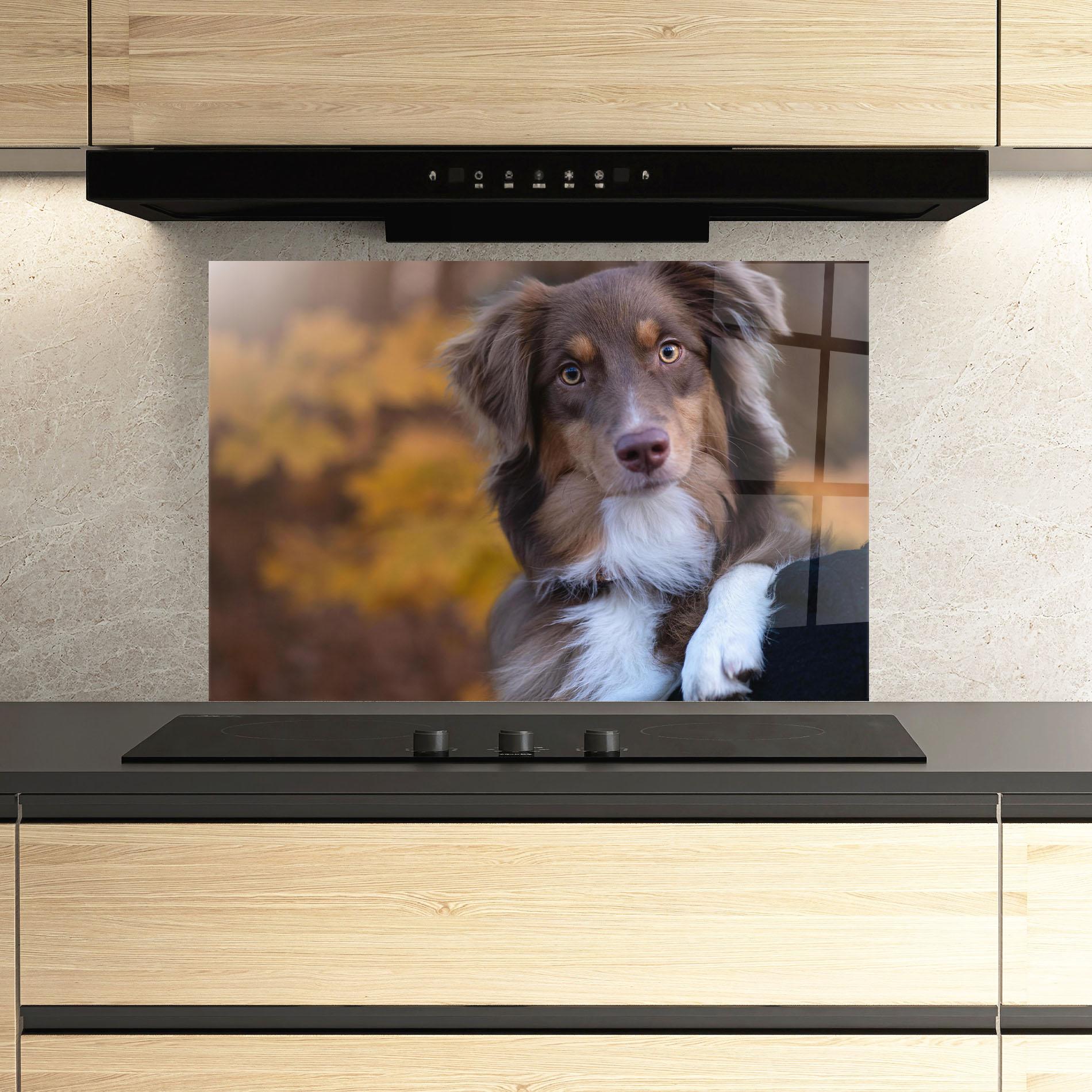 Panou Sticla Bucatarie Coffee Brown Dog mockup 3