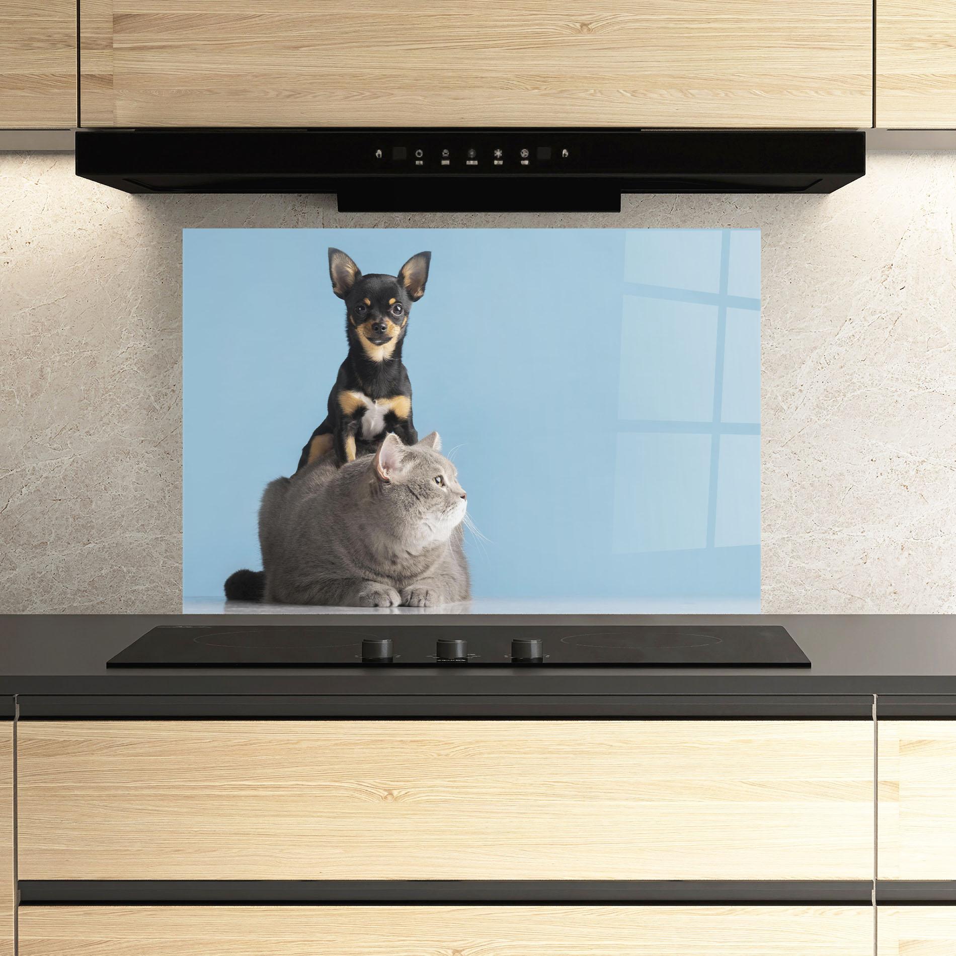 Panou Sticla Bucatarie Dog Grey Cat mockup 3