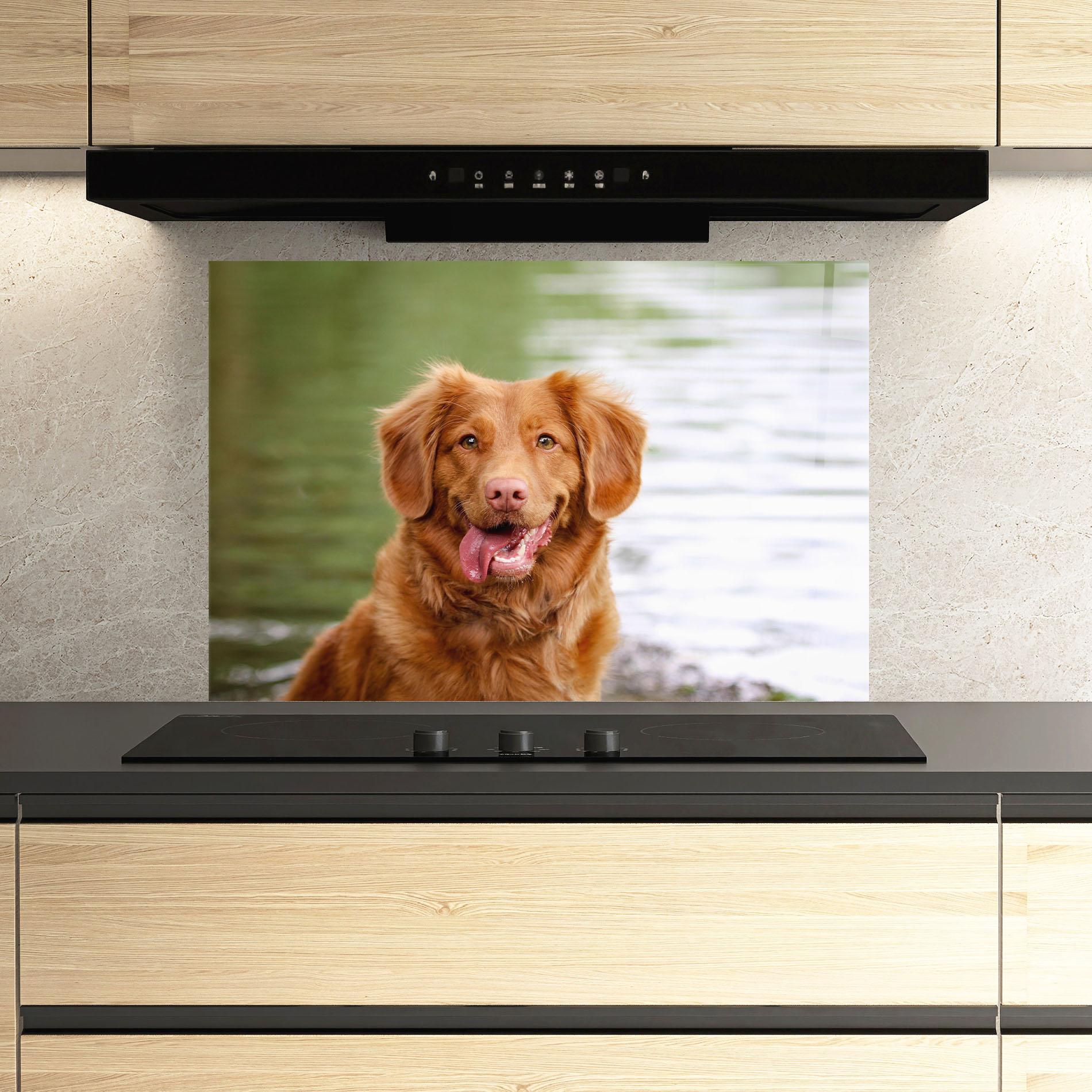 Panou Sticla Bucatarie Gren Water Dog mockup 3