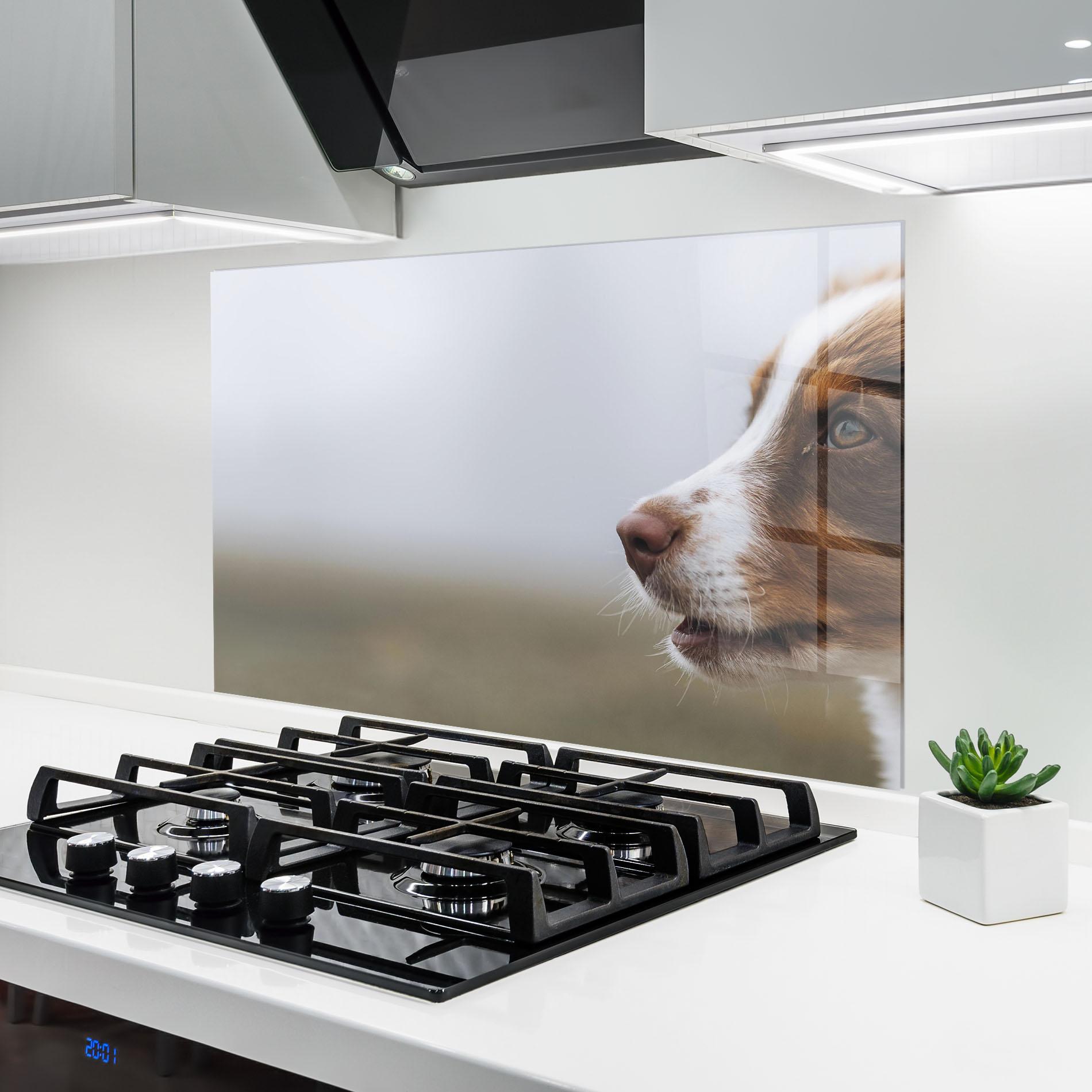 Panou Sticla Bucatarie Brown White Dog mockup 6