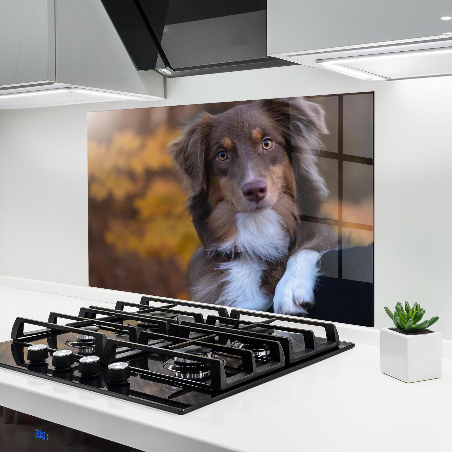 Panou Sticla Bucatarie Coffee Brown Dog mockup 6