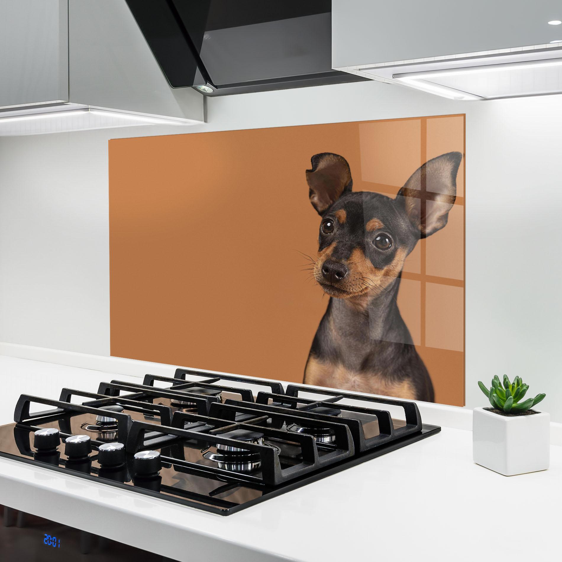 Panou Sticla Bucatarie Cute Dog Portrait mockup 6