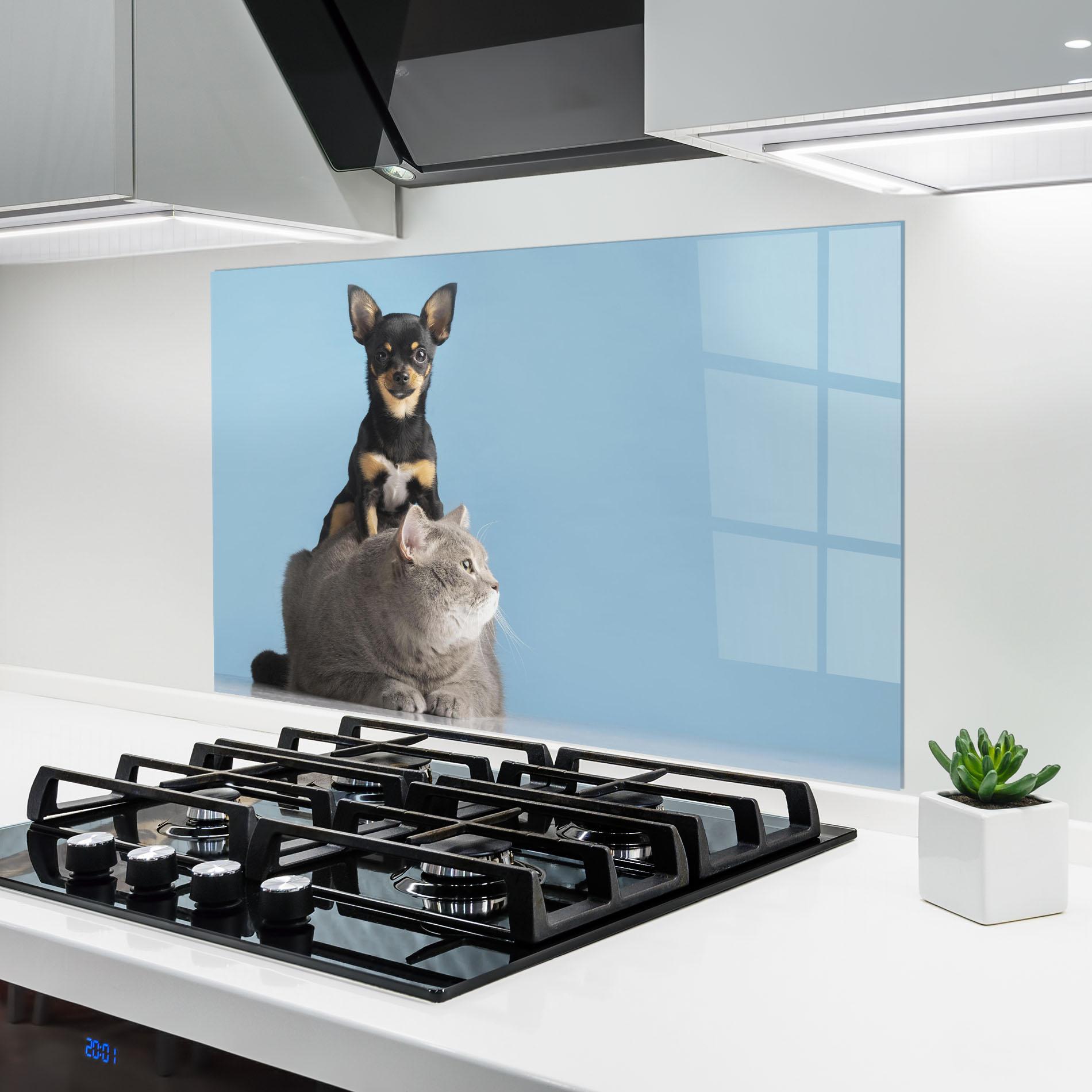 Panou Sticla Bucatarie Dog Grey Cat mockup 6