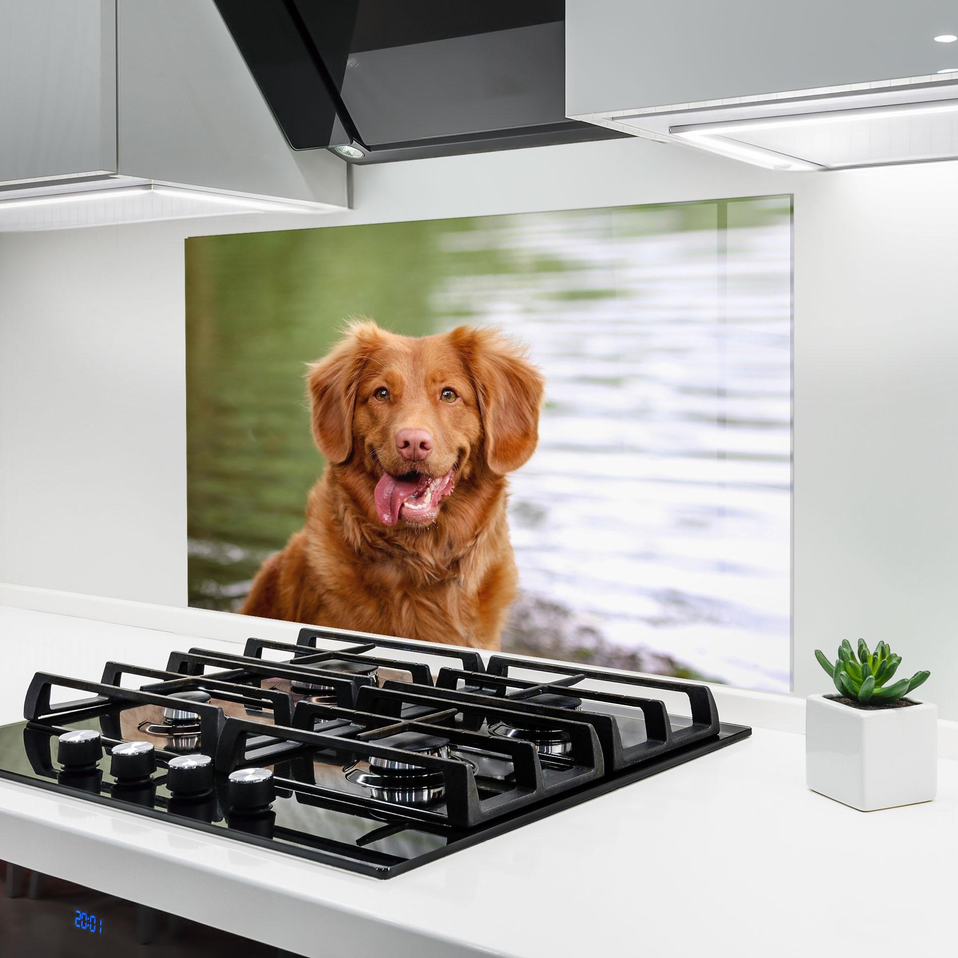Panou Sticla Bucatarie Gren Water Dog mockup 6