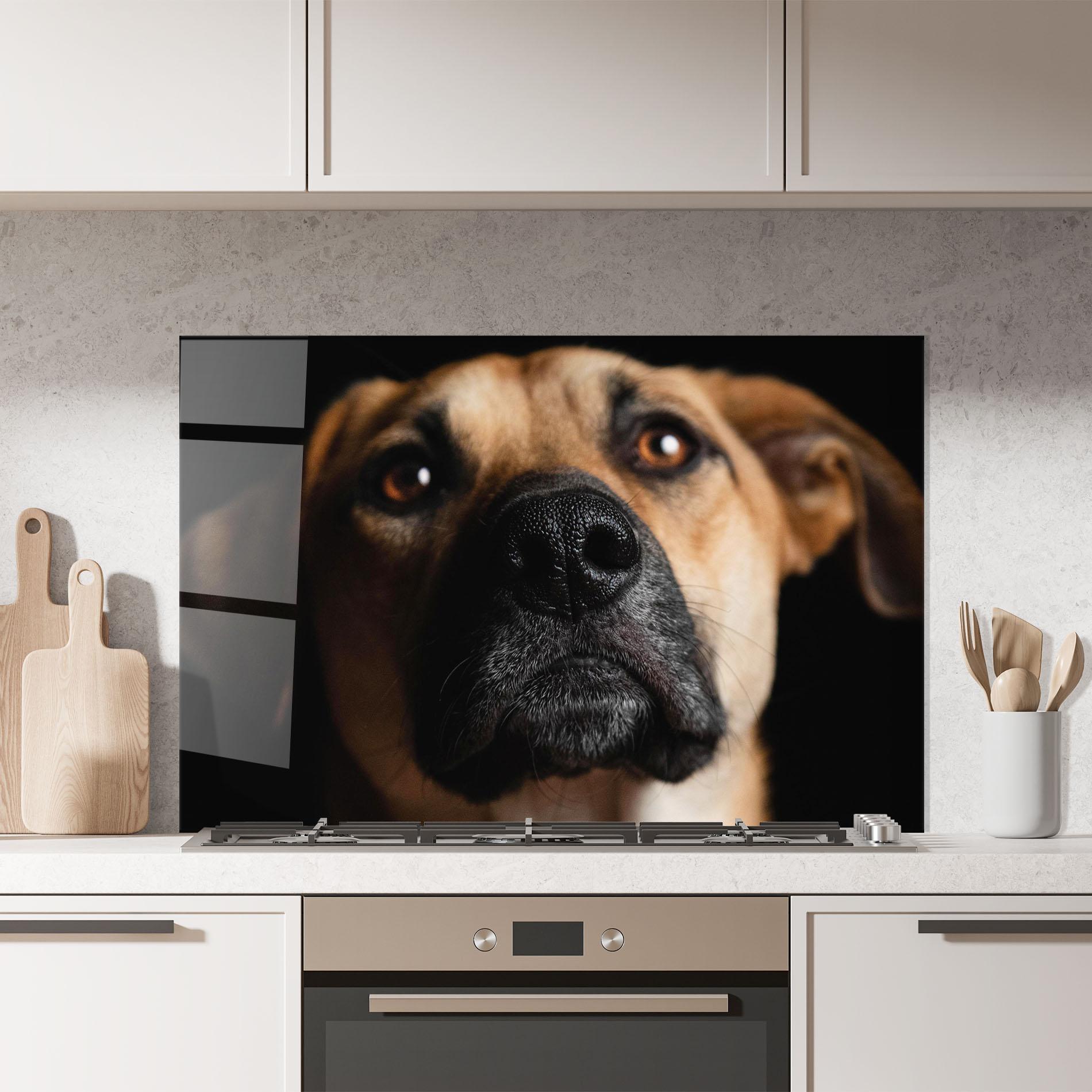 Panou Sticla Bucatarie Black Nose Dog mockup 7