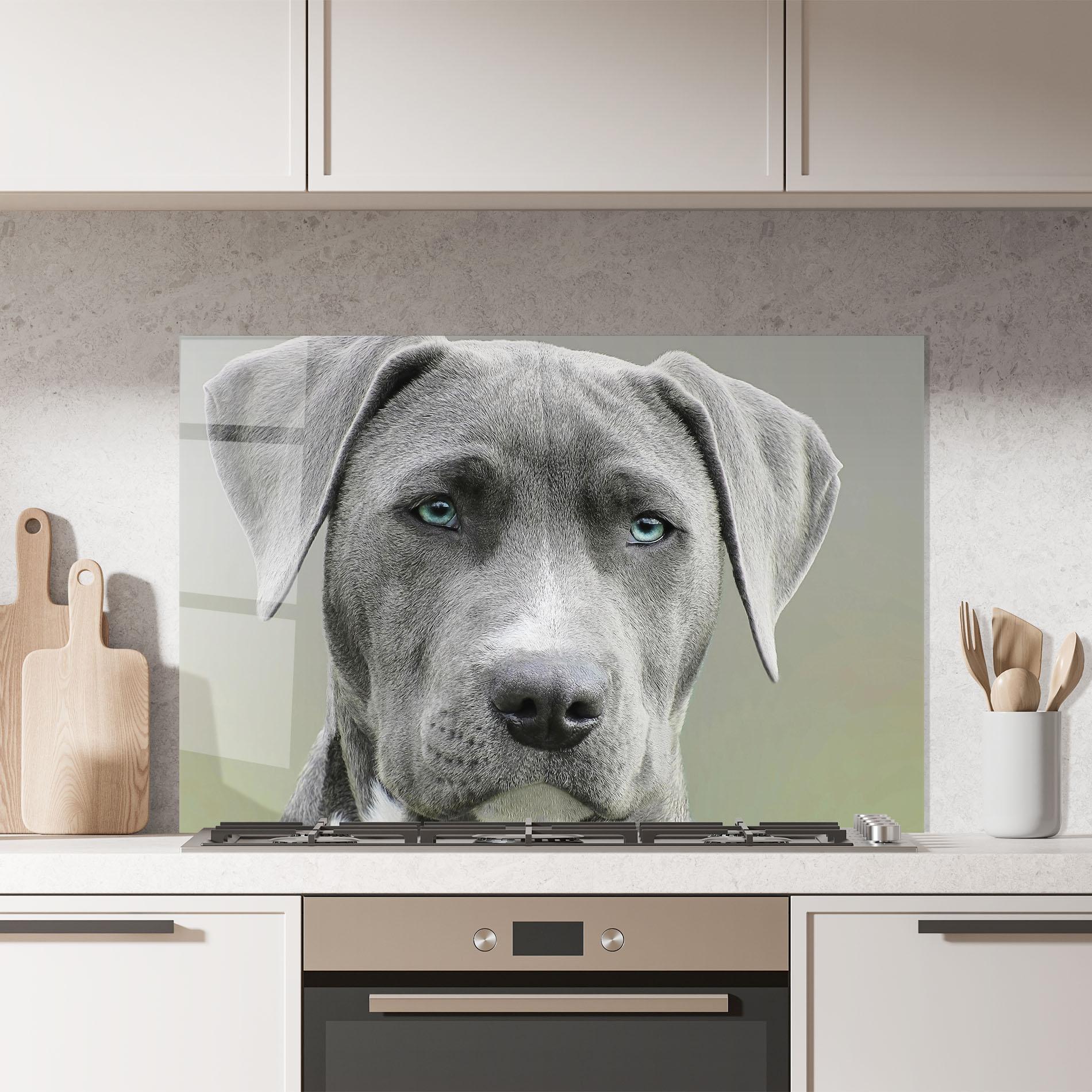 Panou Sticla Bucatarie Blue Eyes Dog mockup 7
