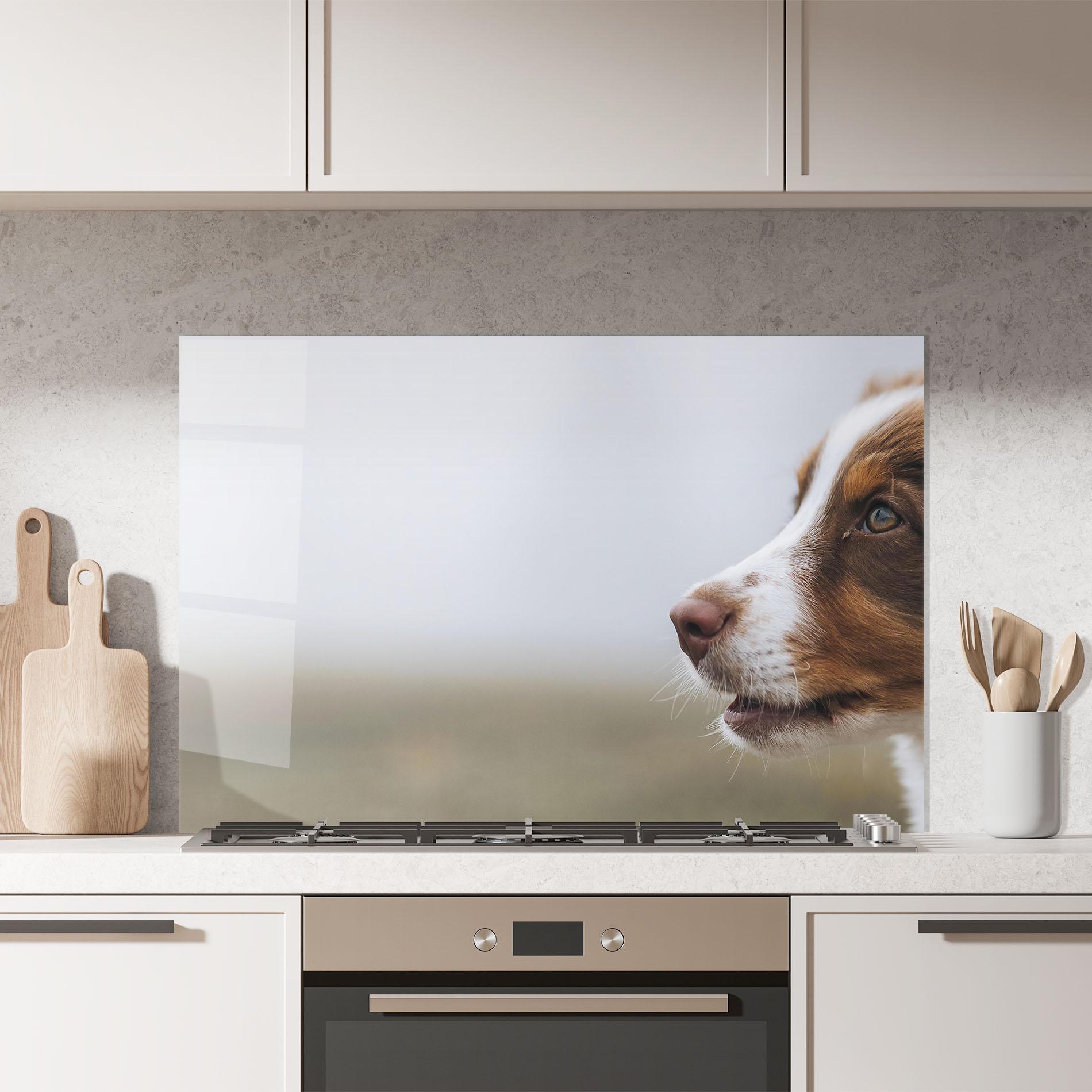 Panou Sticla Bucatarie Brown White Dog mockup 7