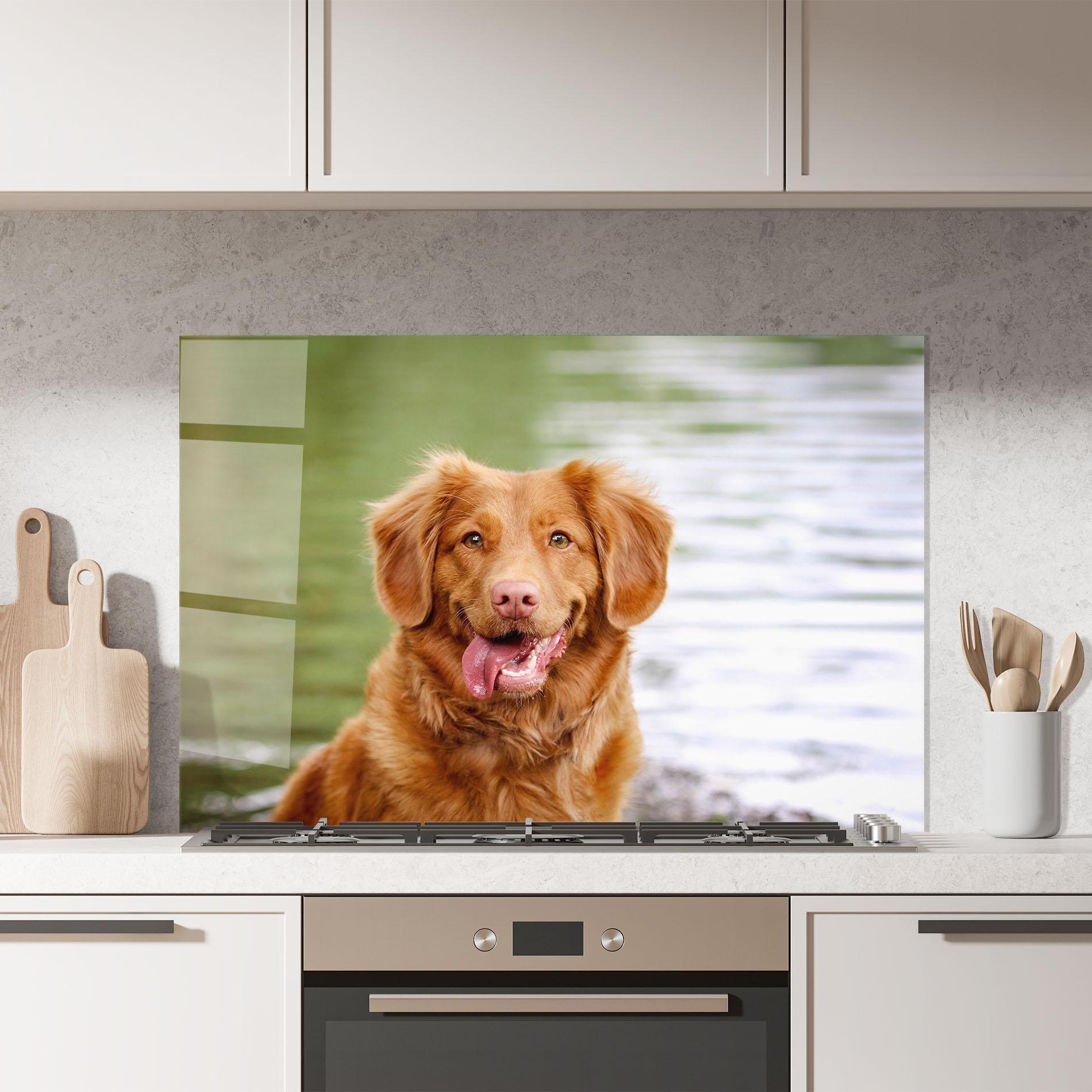 Panou Sticla Bucatarie Gren Water Dog mockup 7