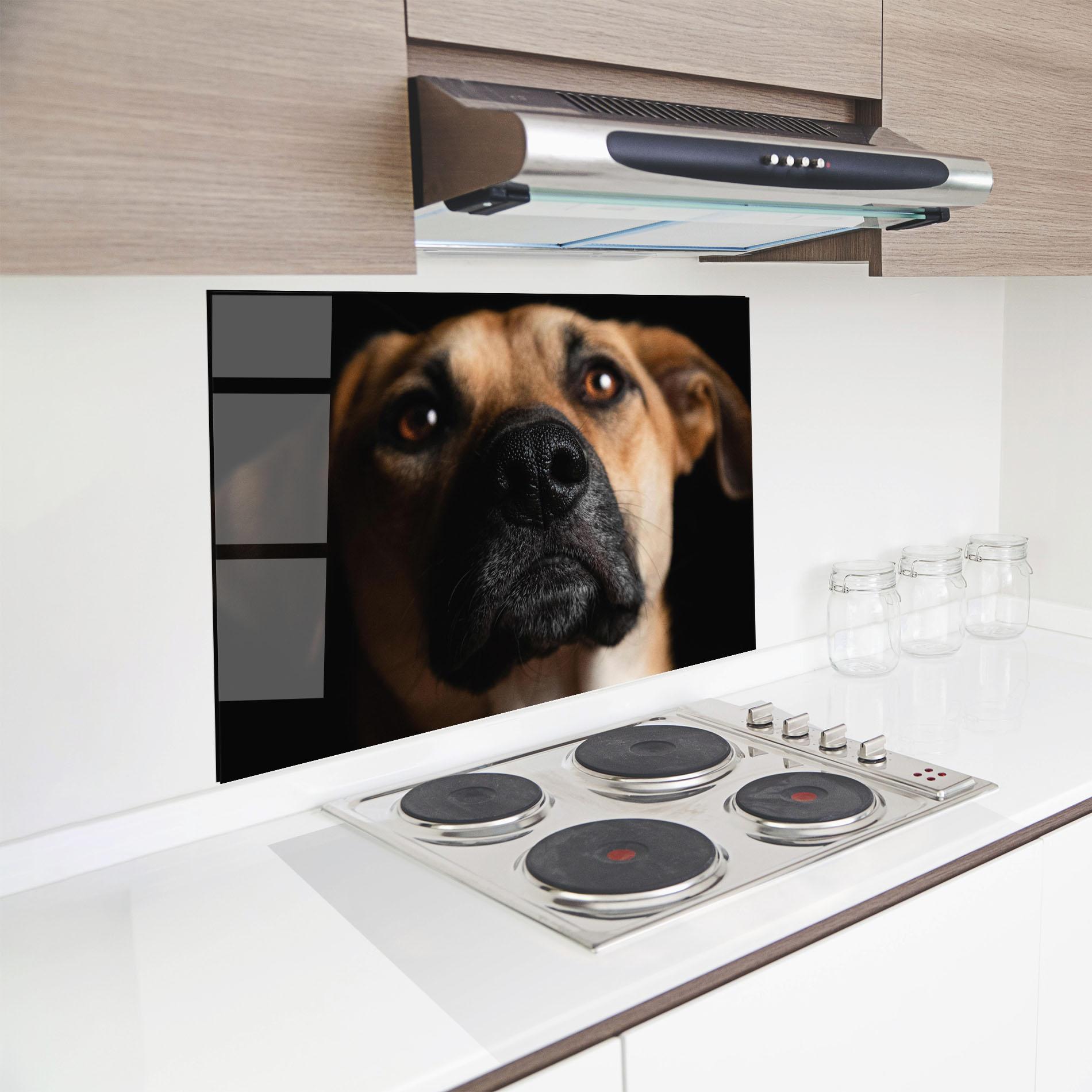 Panou Sticla Bucatarie Black Nose Dog mockup 8
