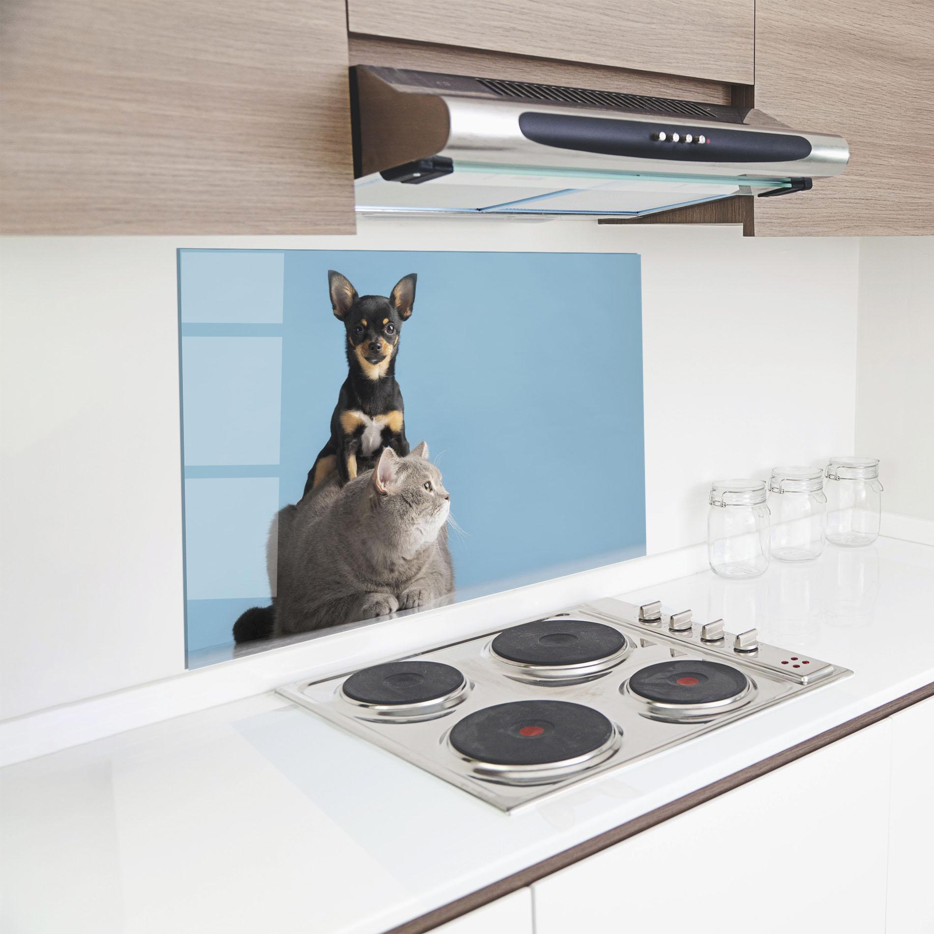 Panou Sticla Bucatarie Dog Grey Cat mockup 8