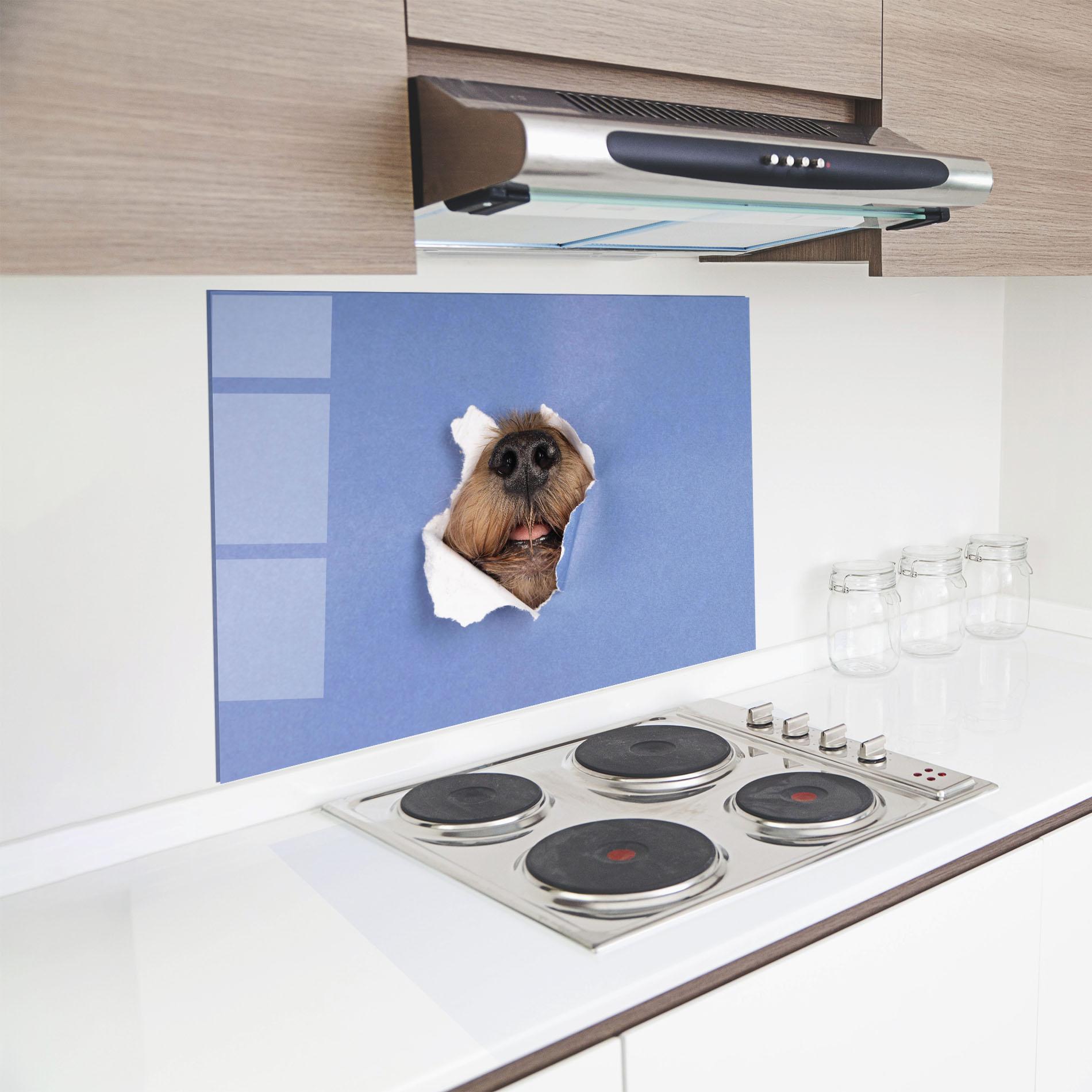 Panou Sticla Bucatarie Dog Small Nose mockup 8