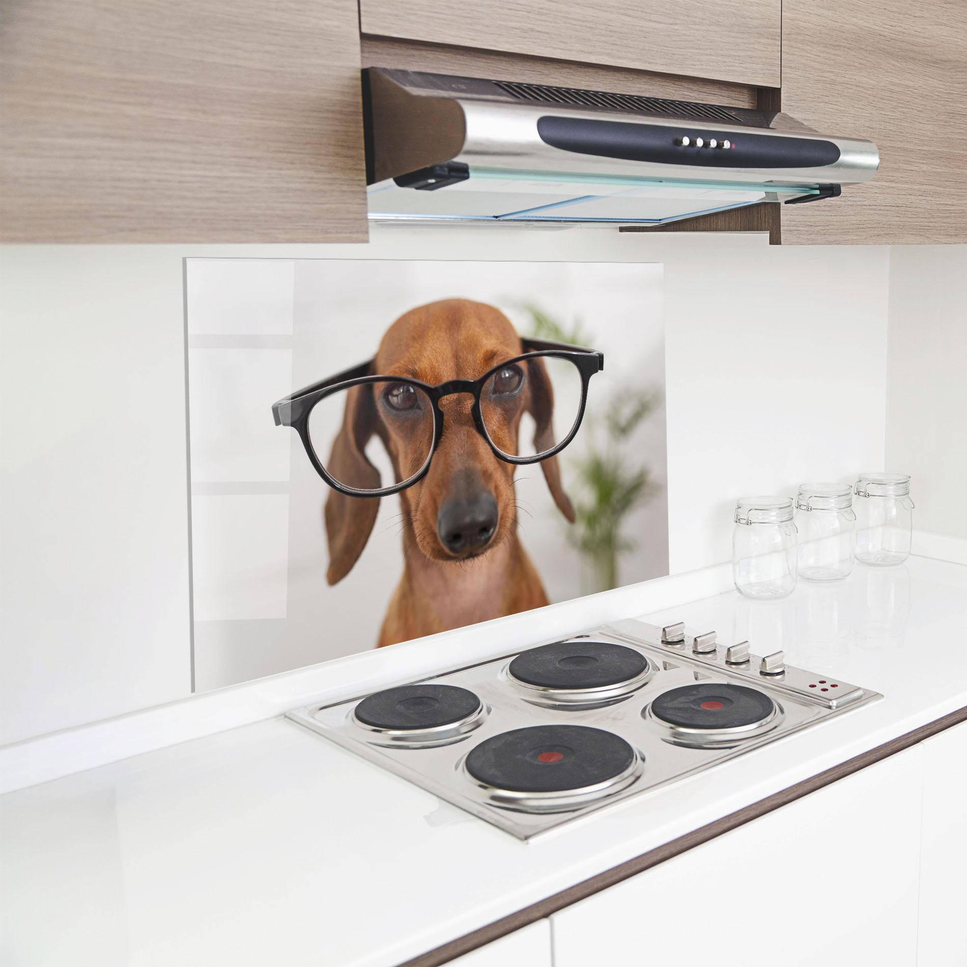 Panou Sticla Bucatarie Dog Wearing Glasses mockup 8