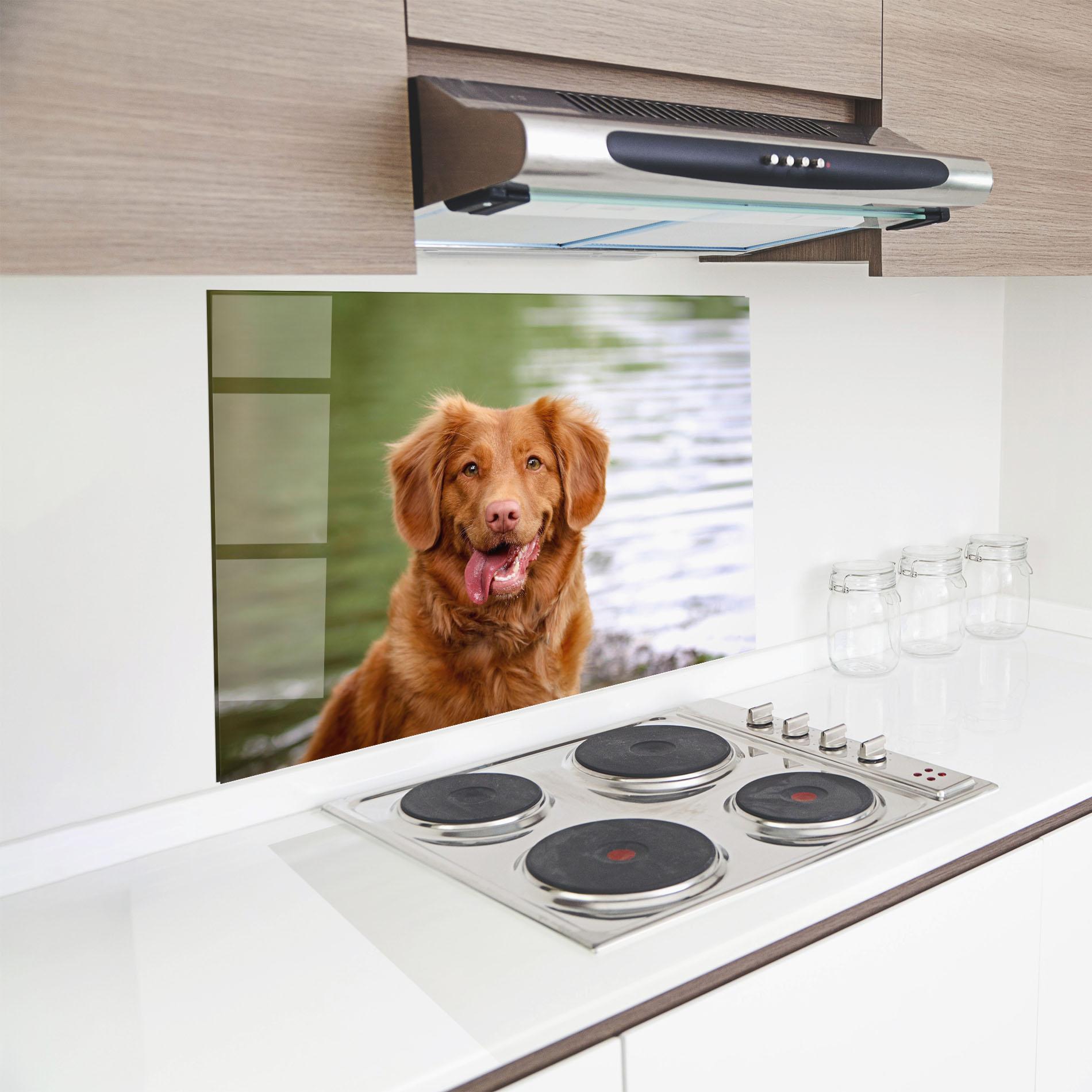 Panou Sticla Bucatarie Gren Water Dog mockup 8
