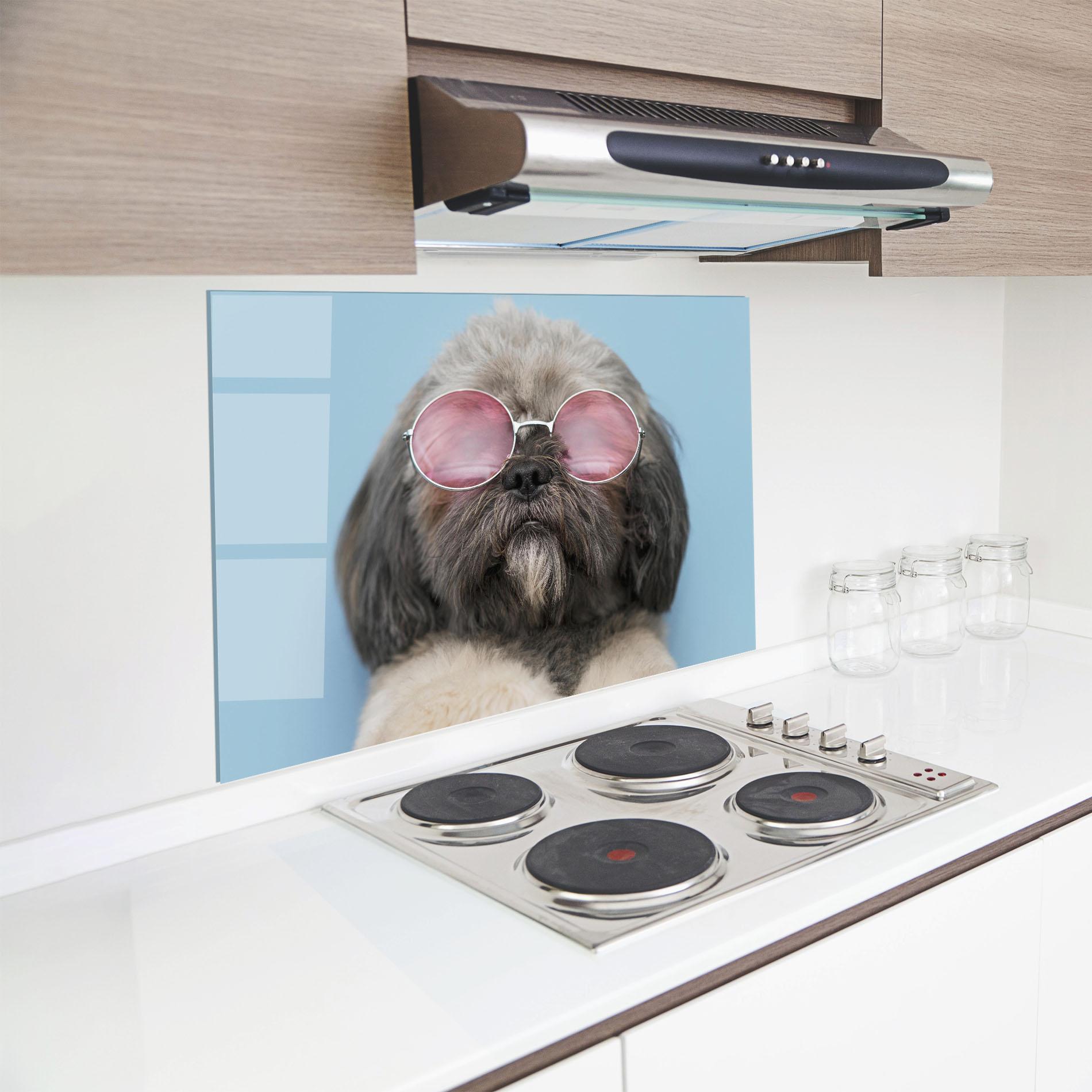 Panou Sticla Bucatarie Grey Dog On Blue mockup 8