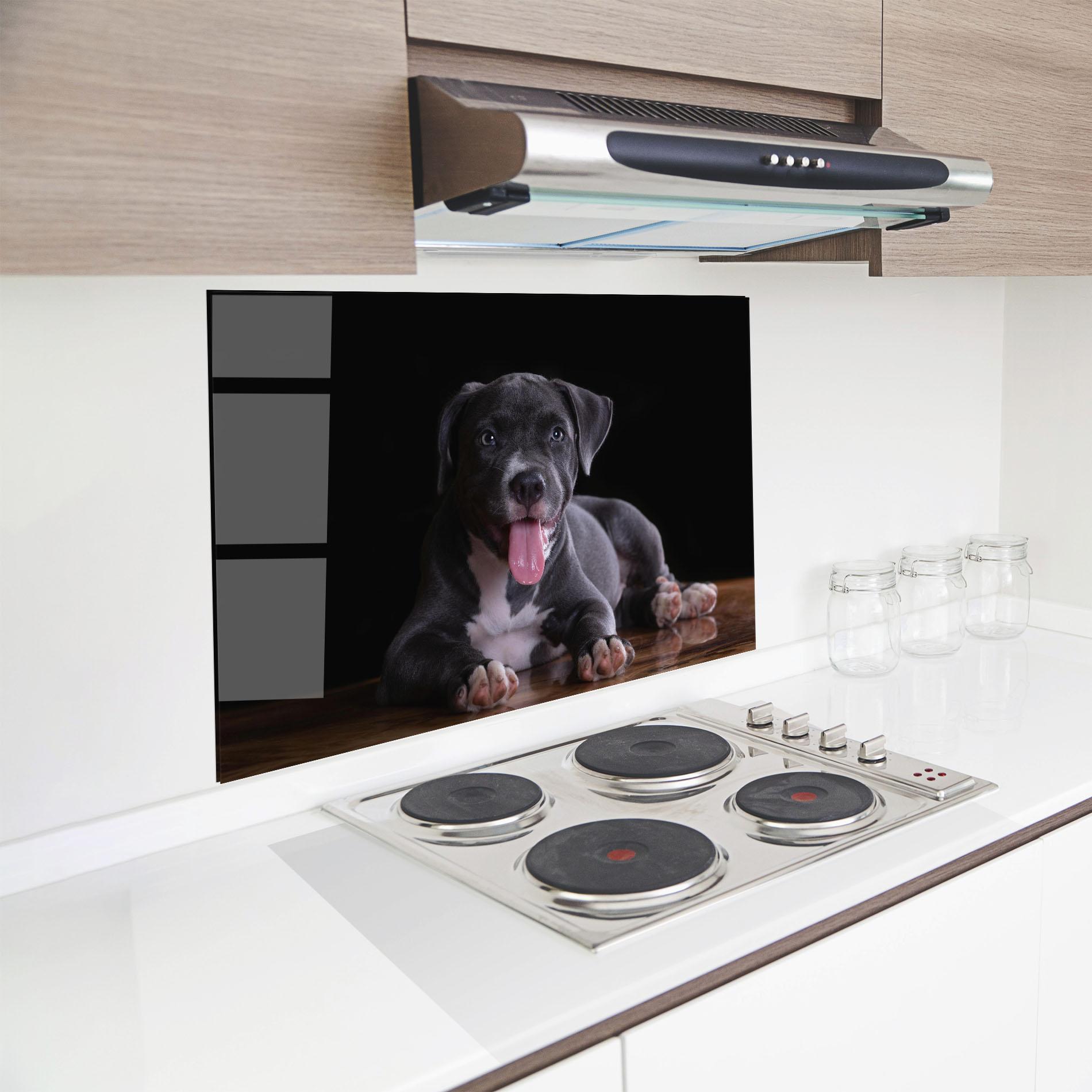 Panou Sticla Bucatarie Terrier Puppy mockup 8