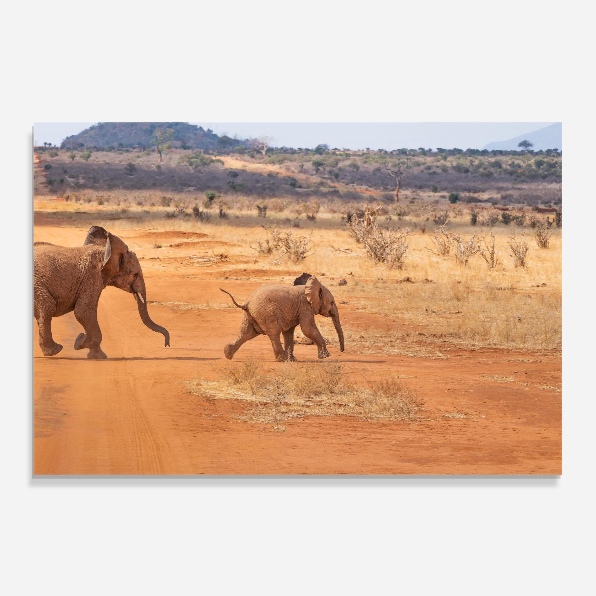 Panou Sticla Bucatarie Desert Safari mockup 0