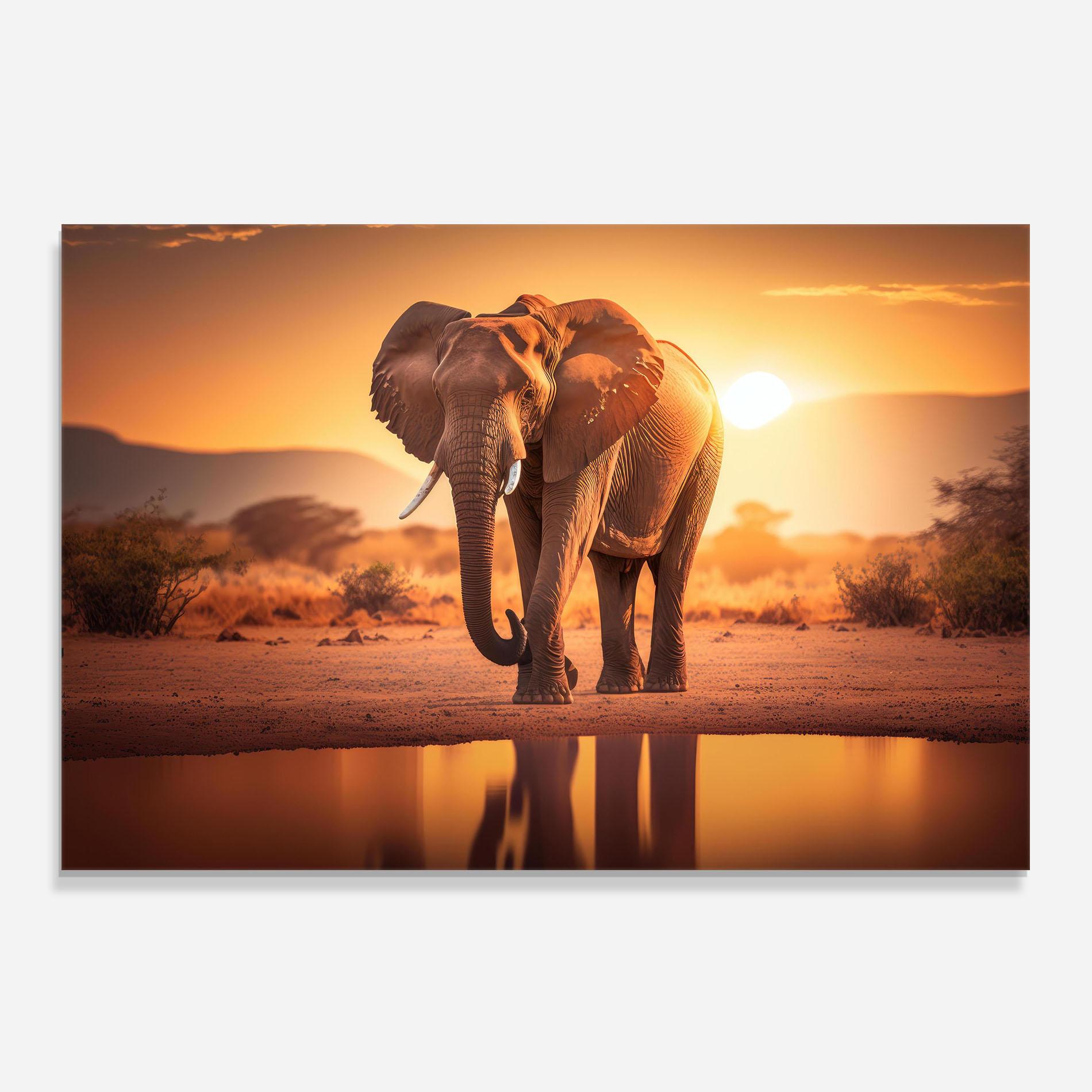 Panou Sticla Bucatarie Wild Savannah mockup 0