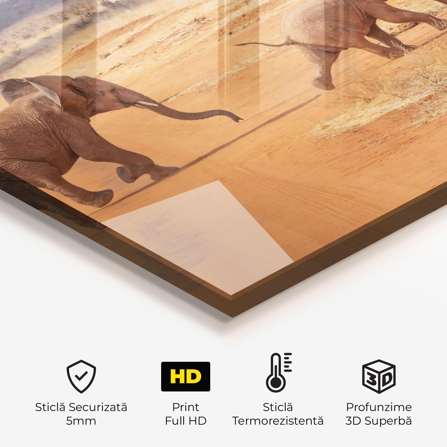 Panou Sticla Bucatarie Desert Safari mockup 2