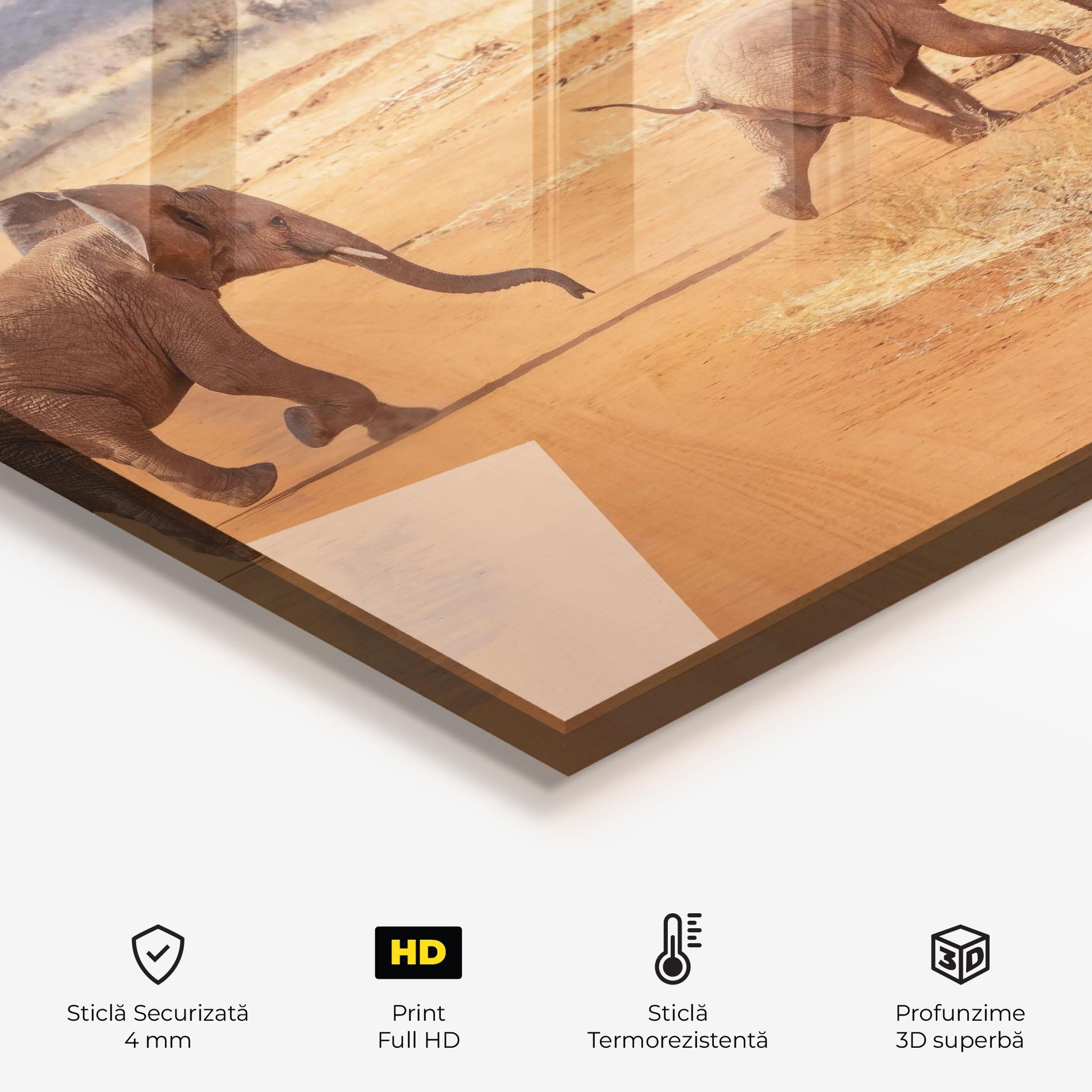Panou Sticla Bucatarie Desert Safari mockup 2