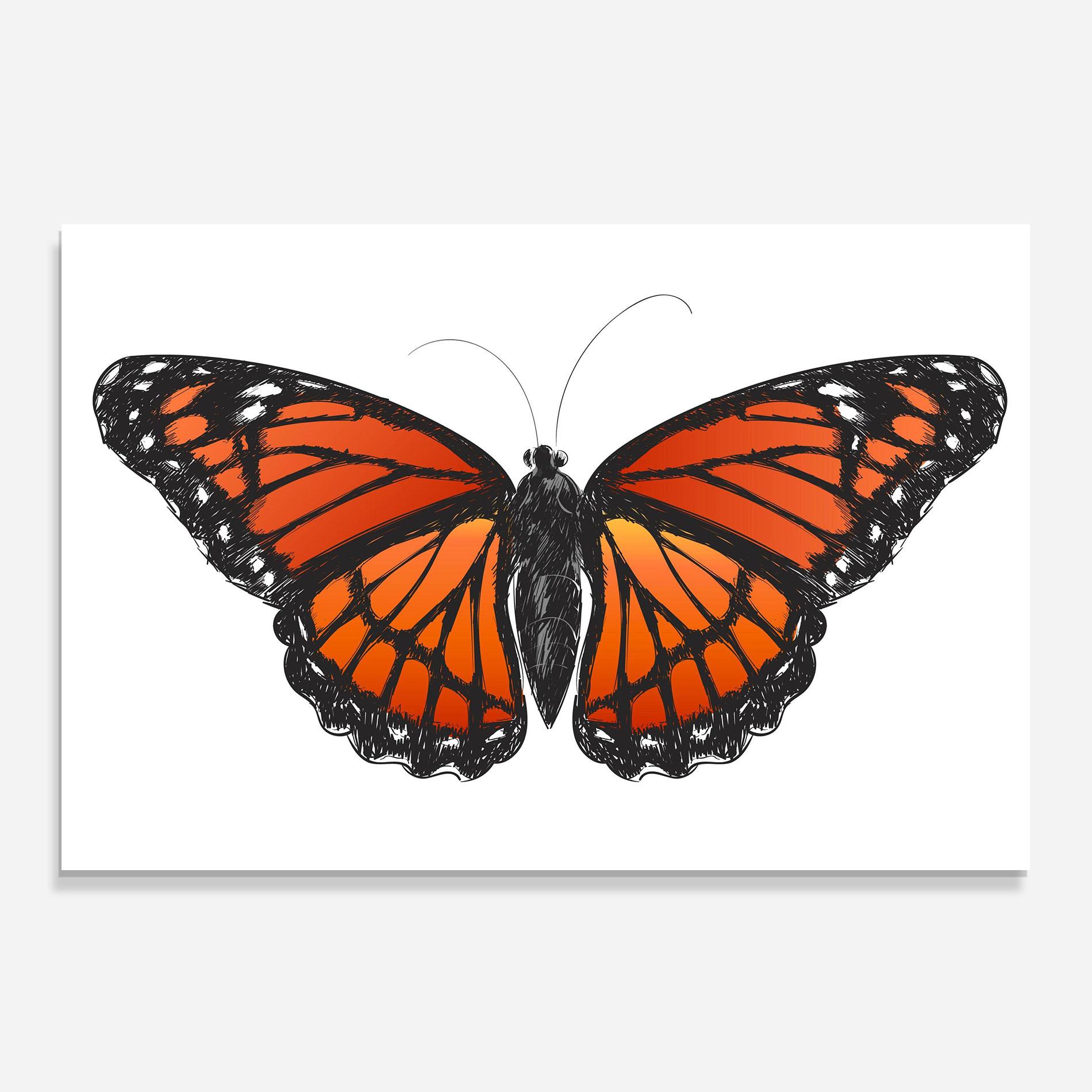 Panou Sticla Bucatarie Beautiful Orange Butterfly mockup 0
