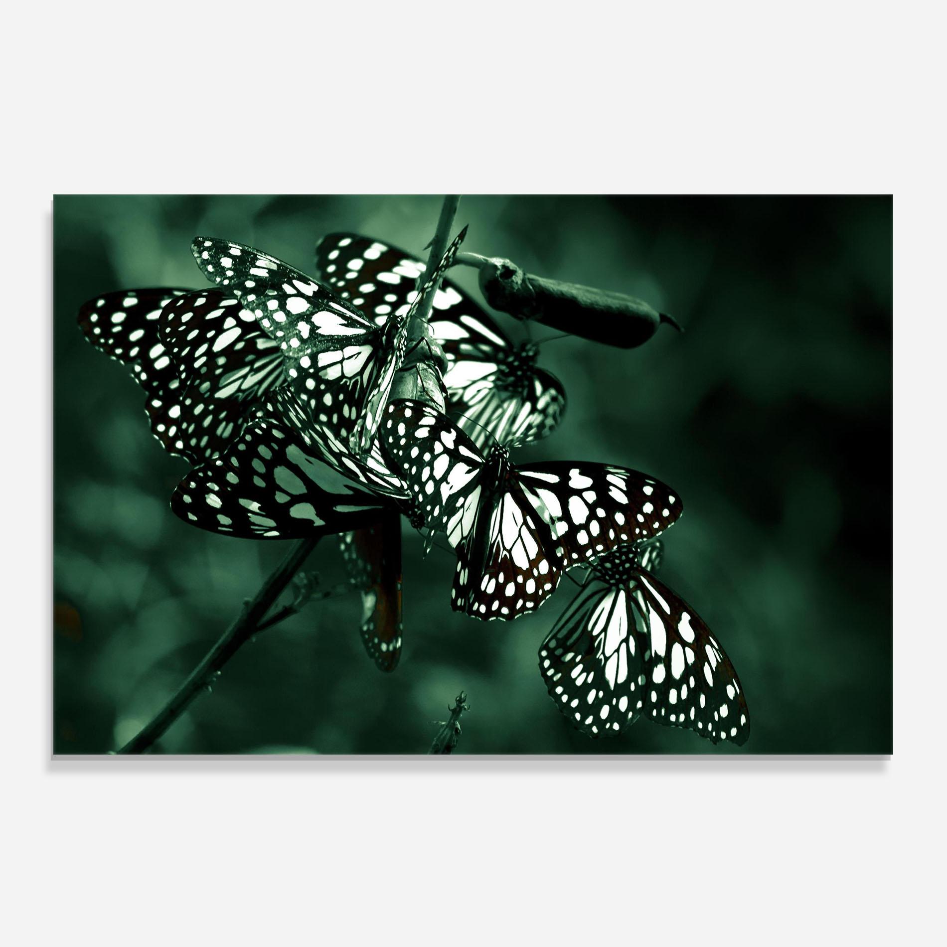 Panou Sticla Bucatarie Black White Butterflies mockup 0