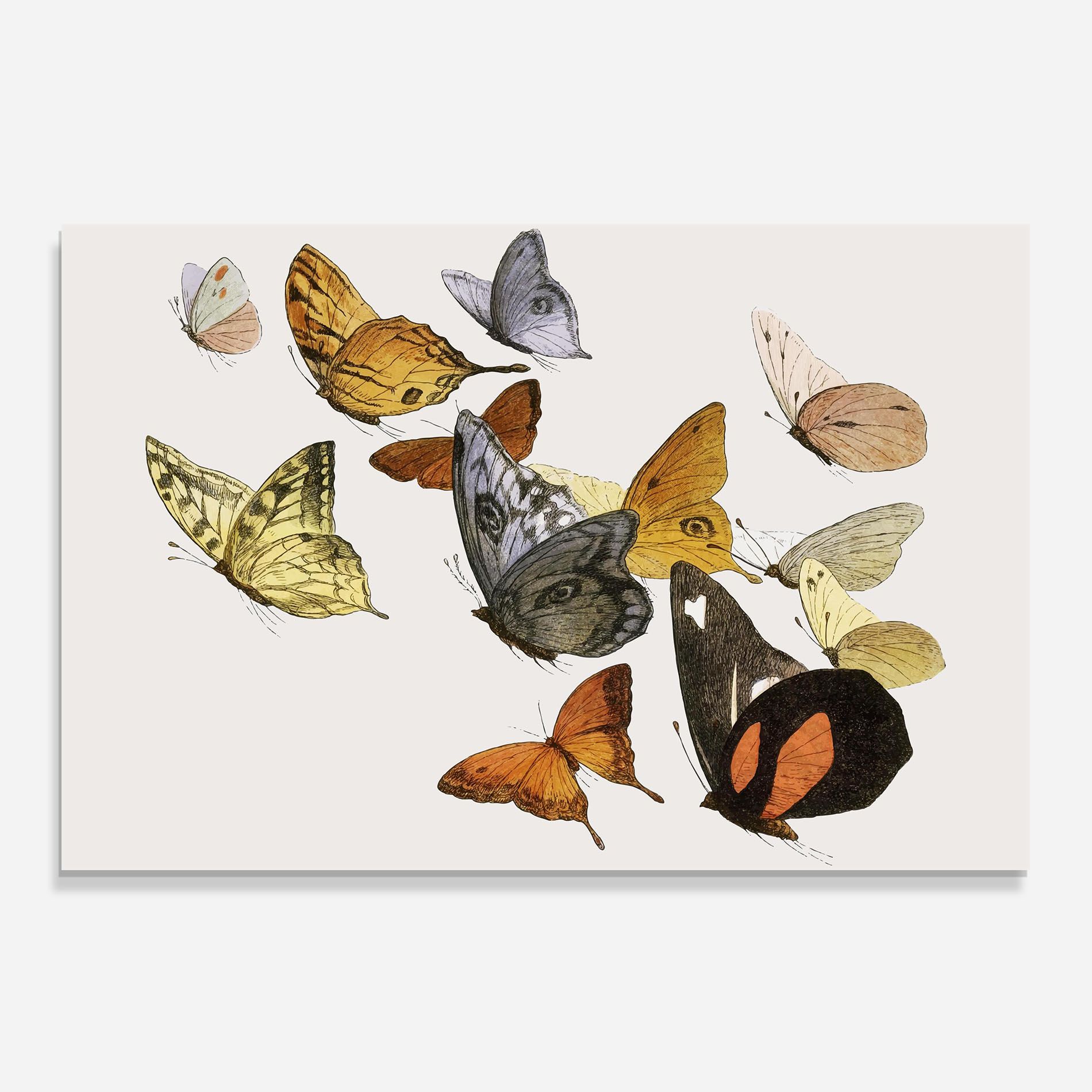 Butterfly Floating mockup 0