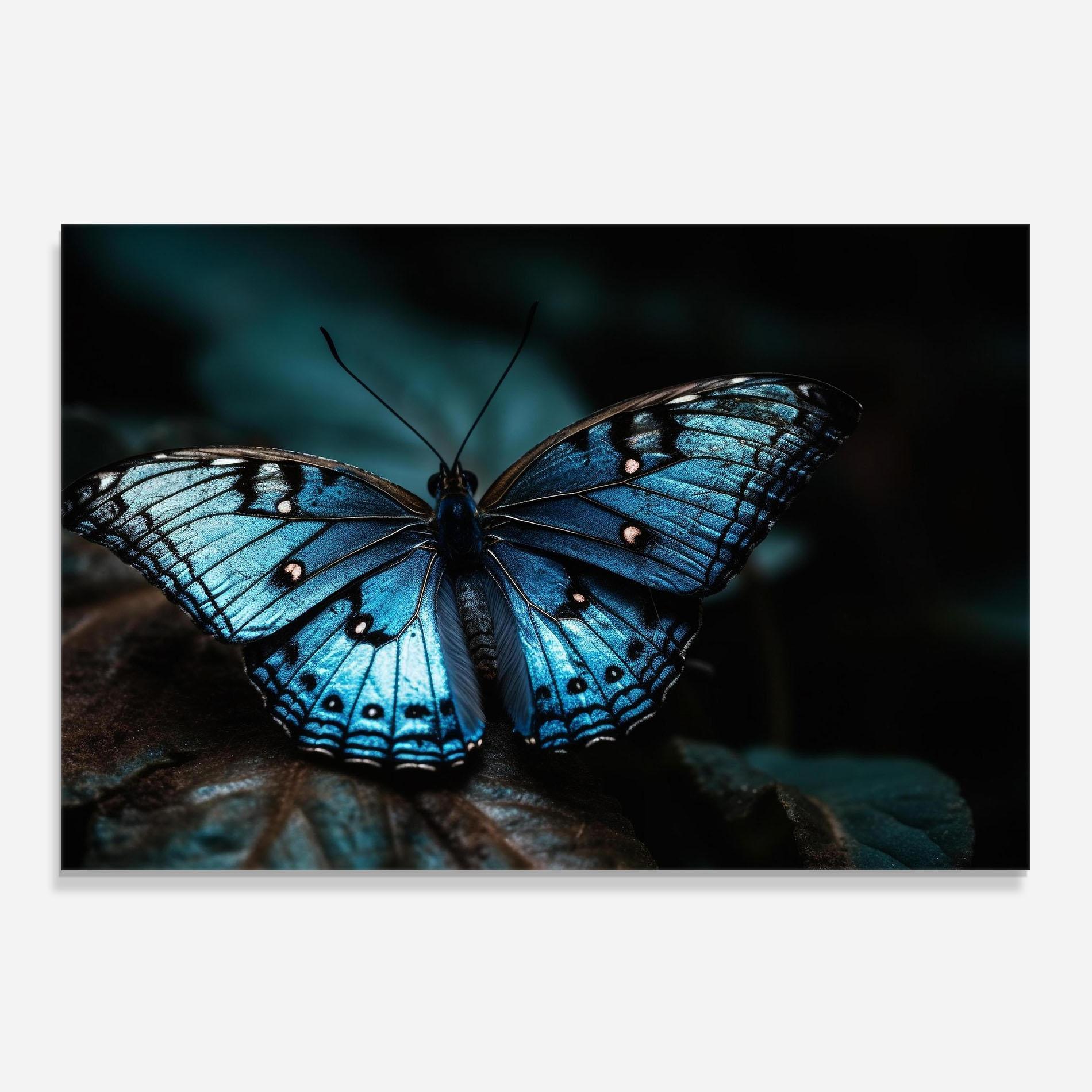 Panou Sticla Bucatarie Dark Blue Buterfly mockup 0